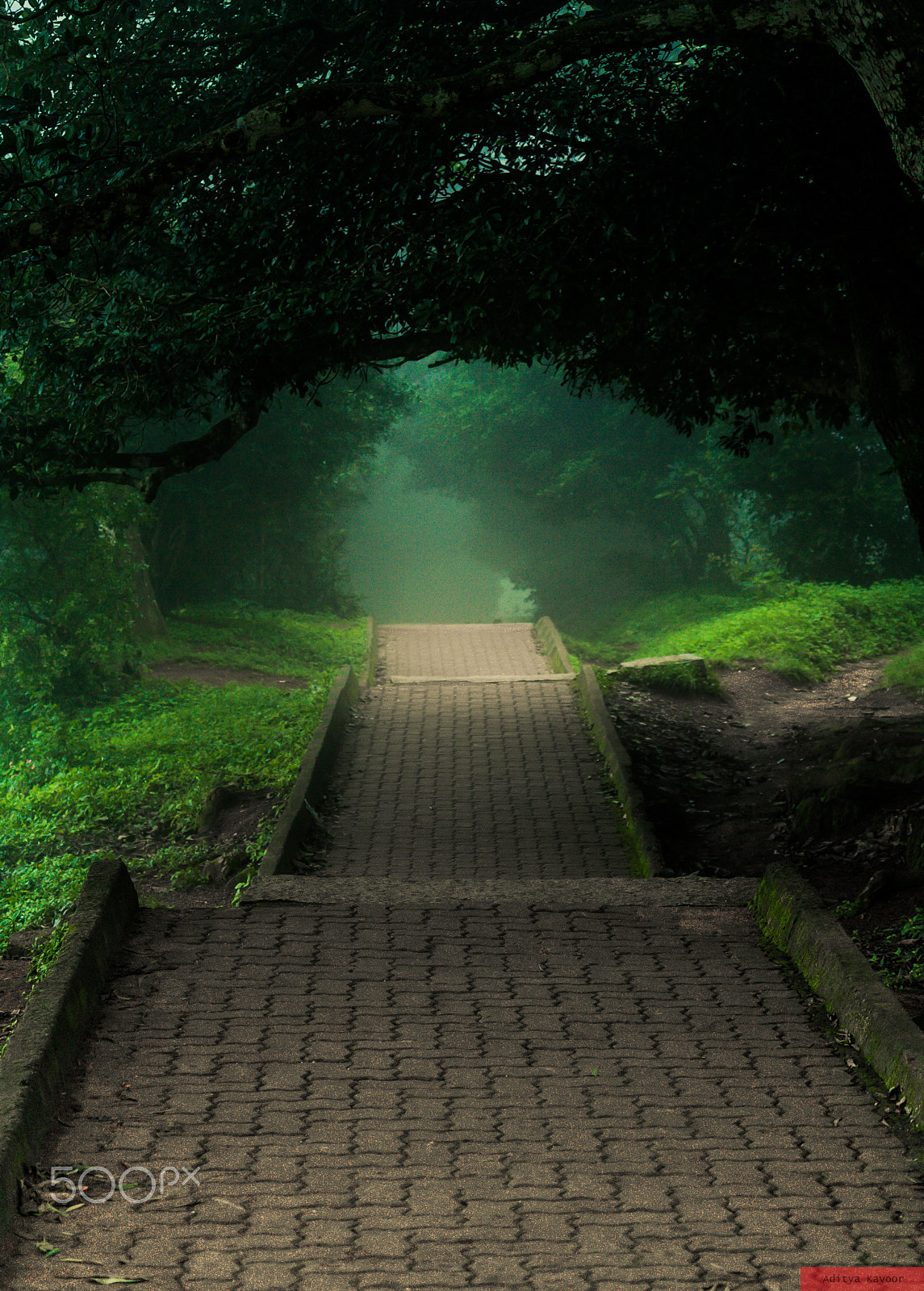 Canon EF-S 55-250mm F4-5.6 IS sample photo. Nandi hills, india photography