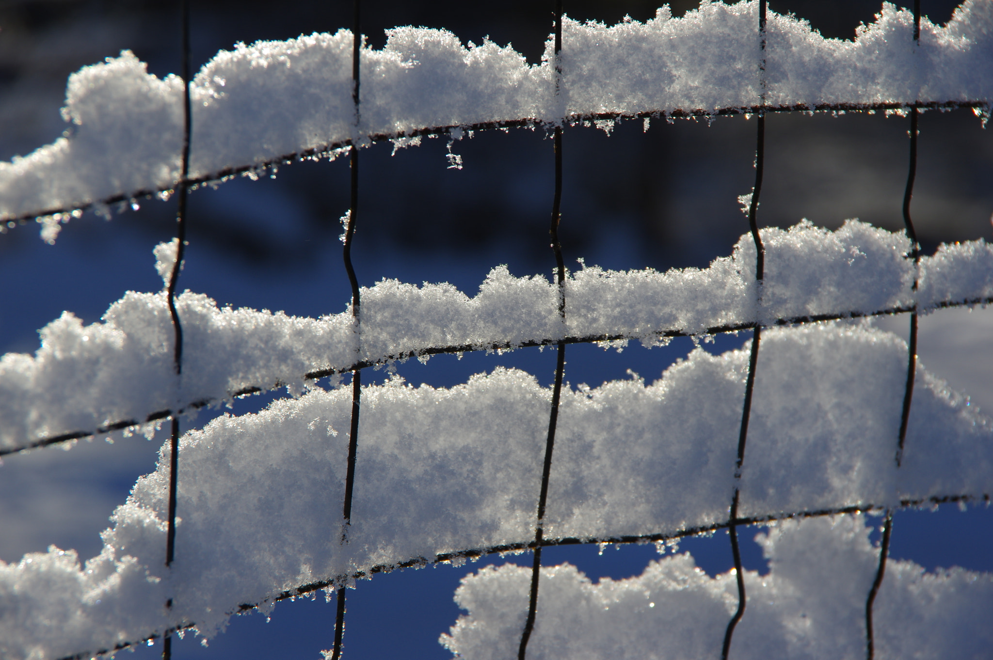 Pentax K-3 sample photo. Fresh snow photography