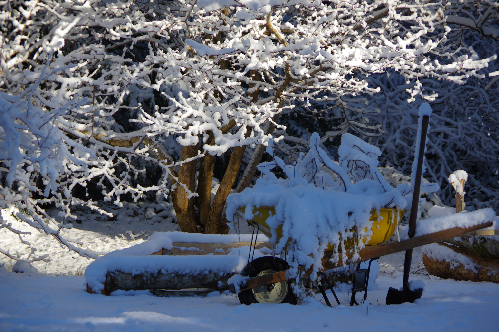 Pentax K-3 sample photo. Spring postponed photography