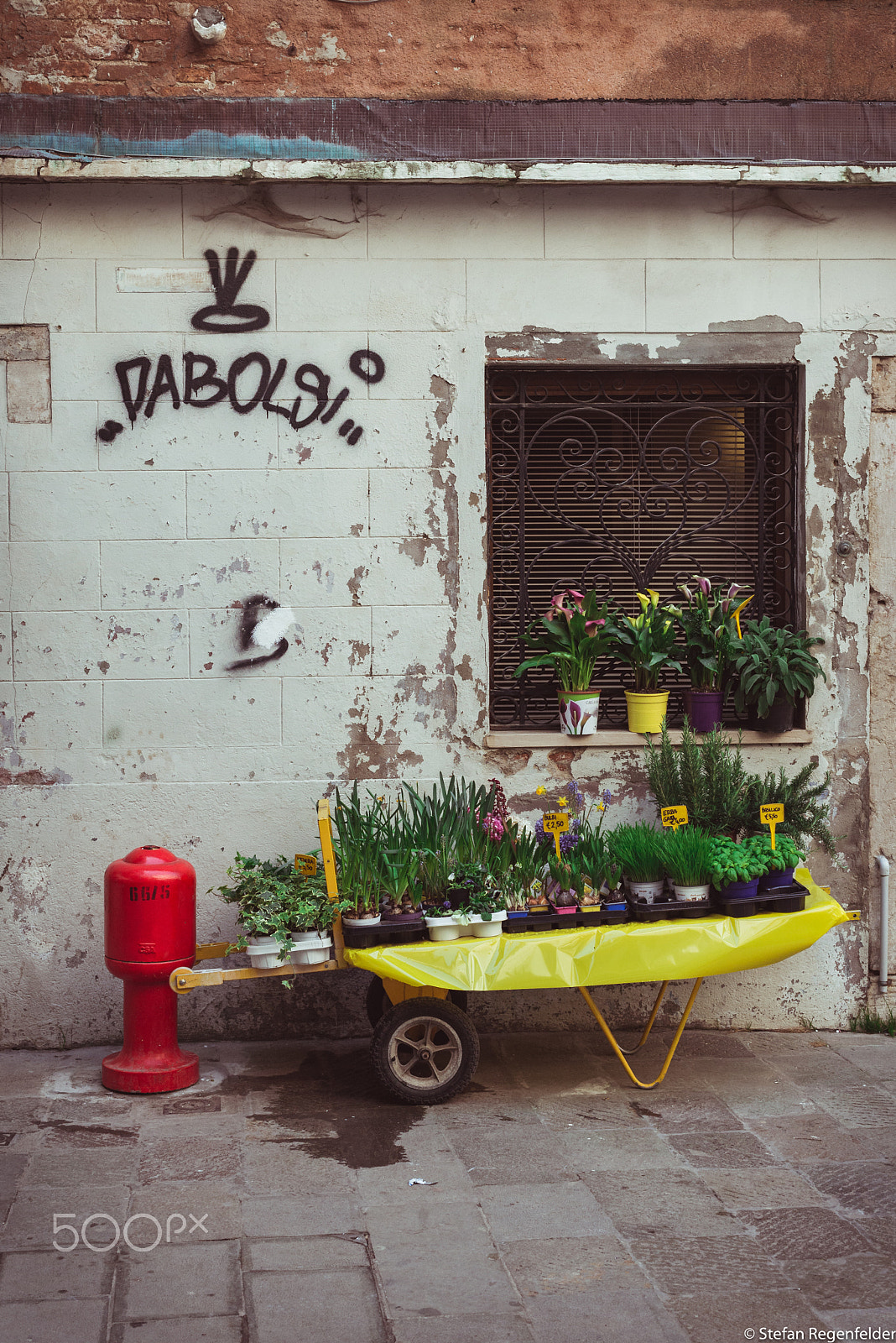Nikon D610 + Nikon AF-S Nikkor 50mm F1.4G sample photo. Streetshop for flowers photography