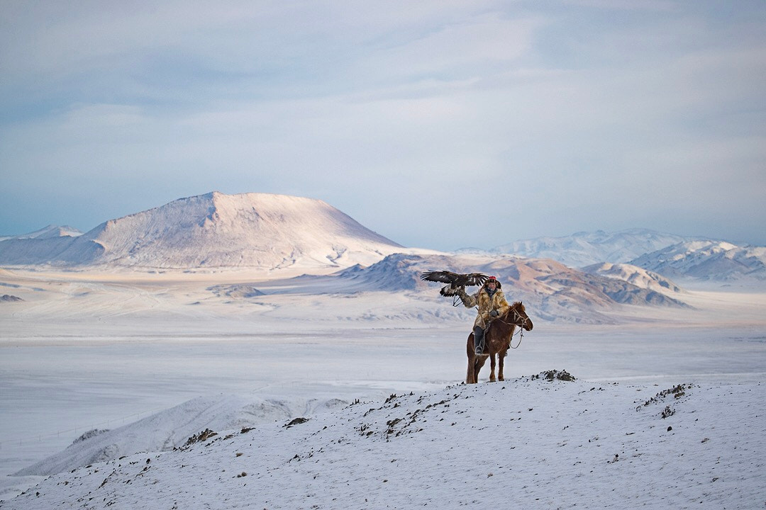 Canon EOS-1D X Mark II sample photo. On the hunt in western mongolia. photography