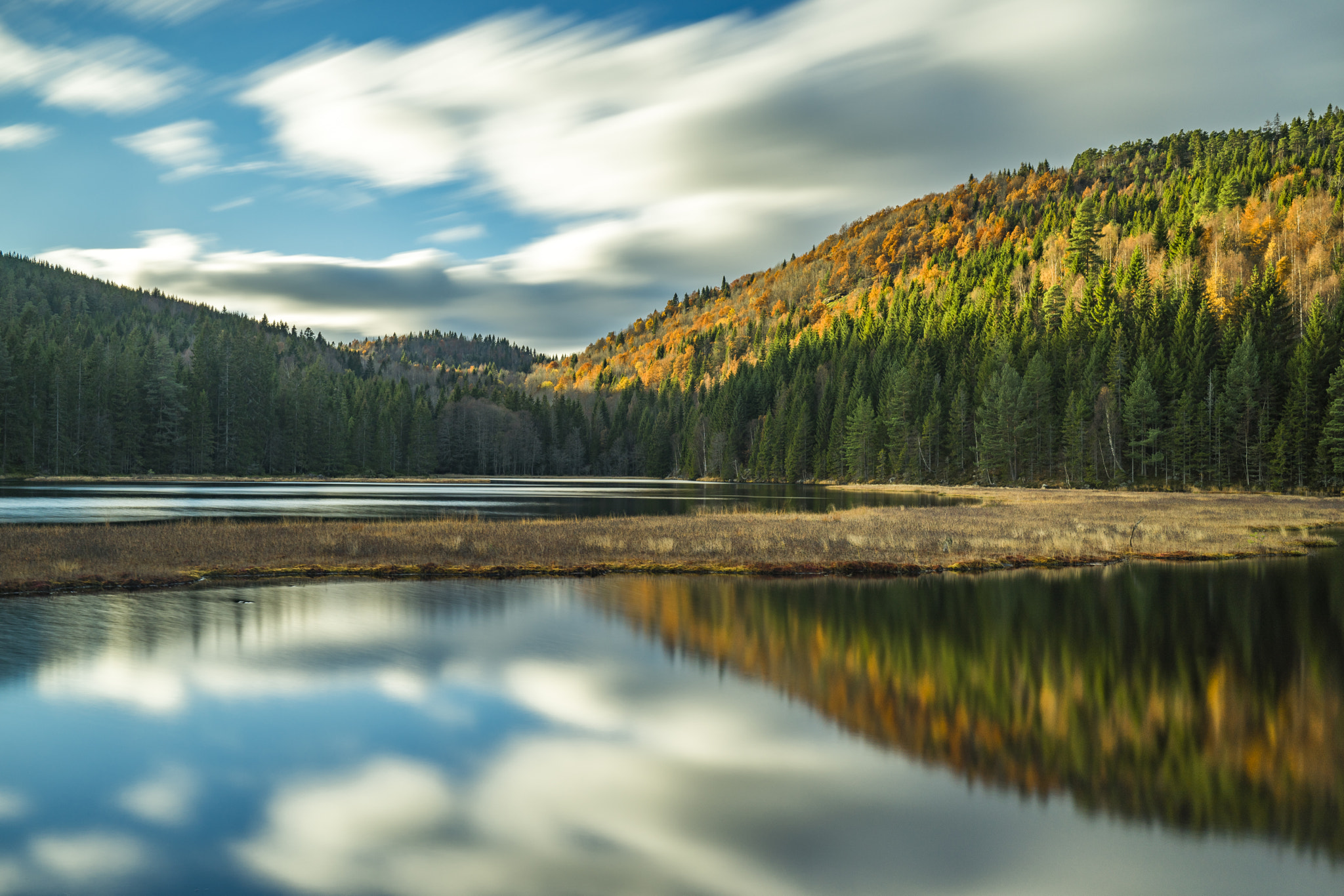 Sony a7R + Sony Vario-Tessar T* FE 16-35mm F4 ZA OSS sample photo. The end of the autumn photography