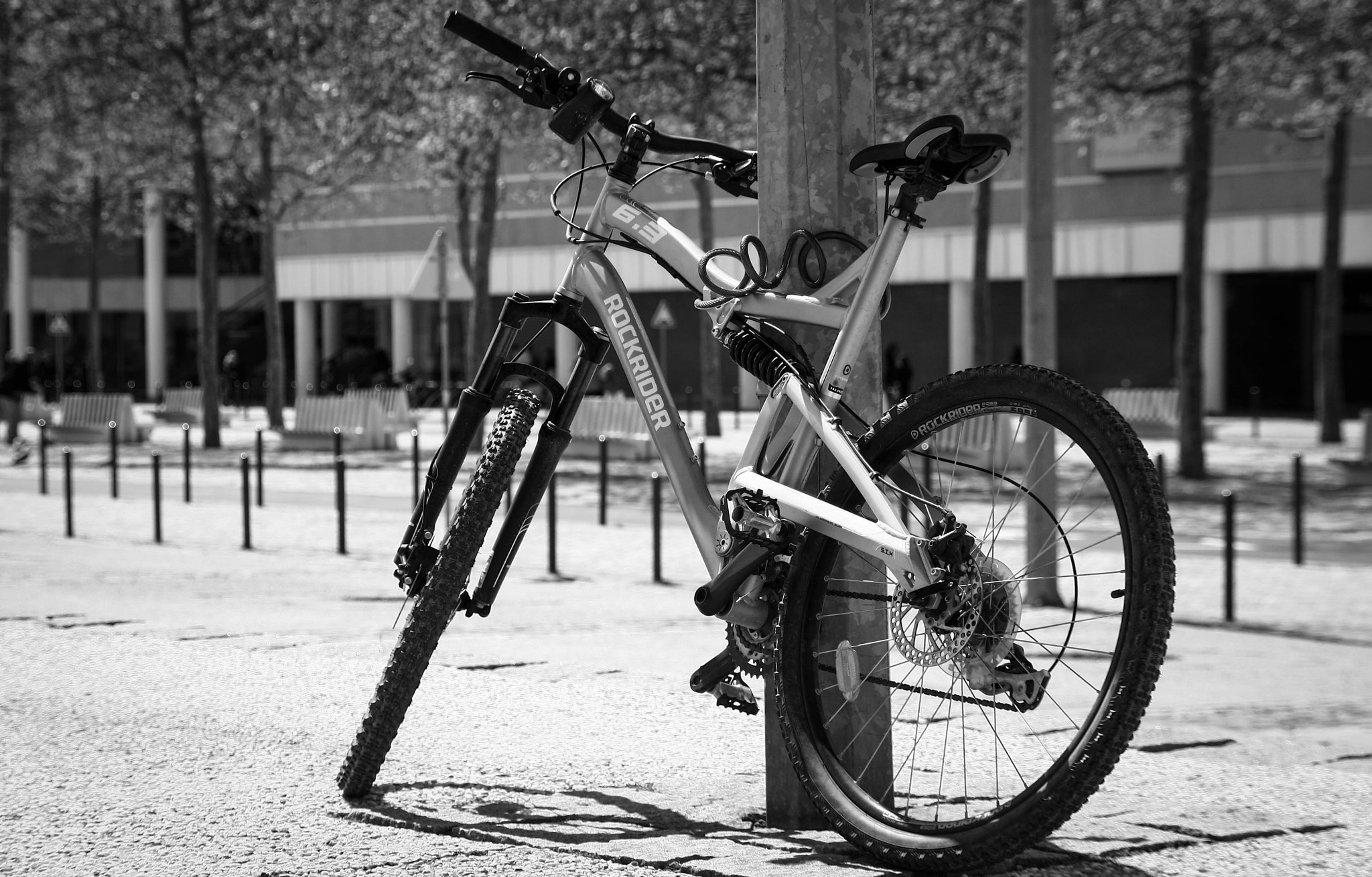 Sigma 18-200mm f/3.5-6.3 DC OS sample photo. Retrorockrider photography