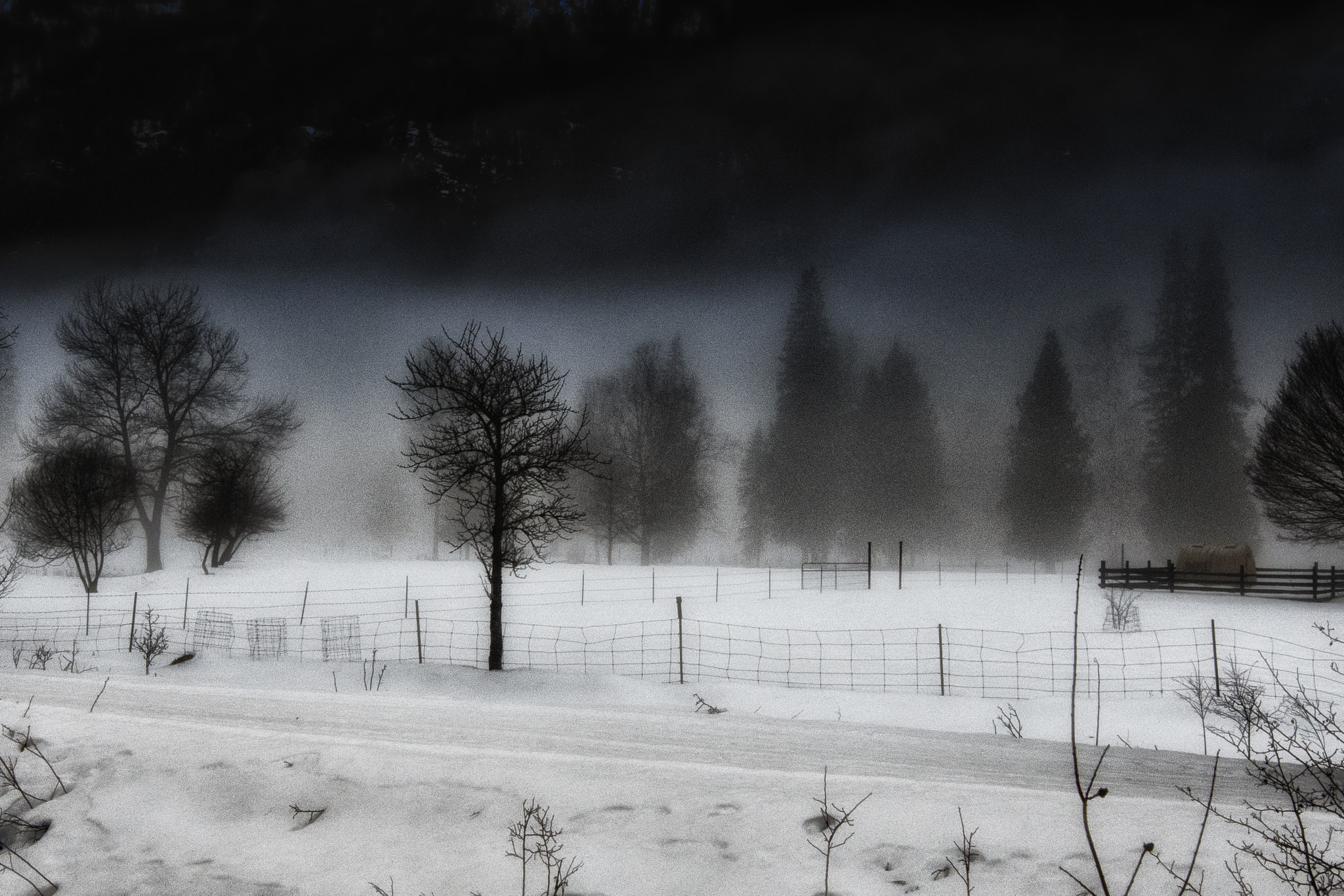 Nikon D500 sample photo. Emergence photography