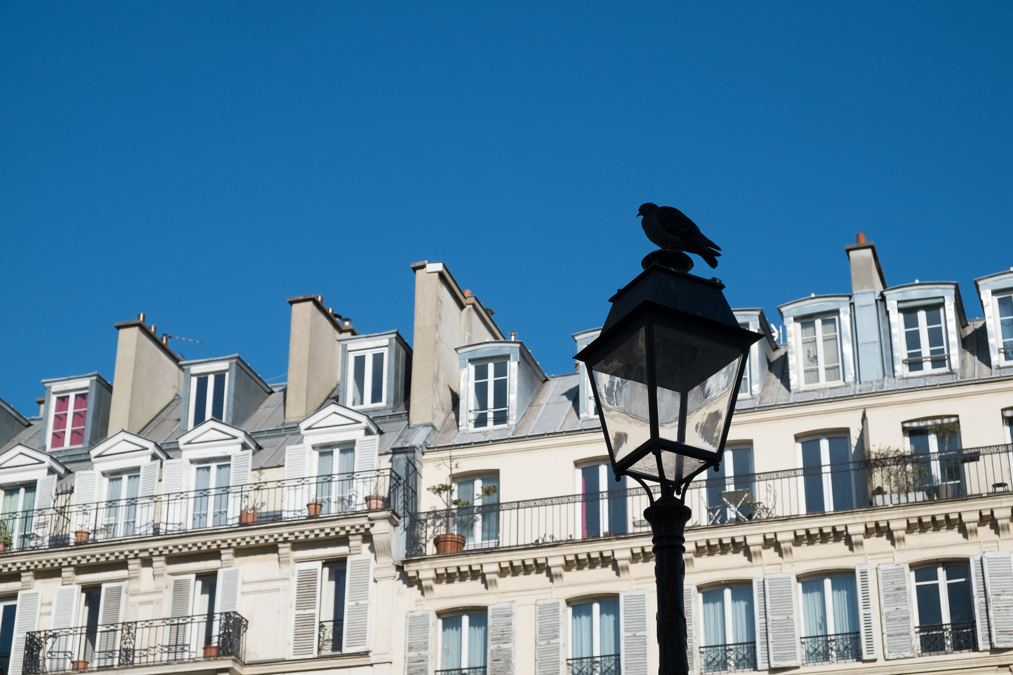 Fujifilm X-E1 + Fujifilm XF 18-55mm F2.8-4 R LM OIS sample photo. Paris photography