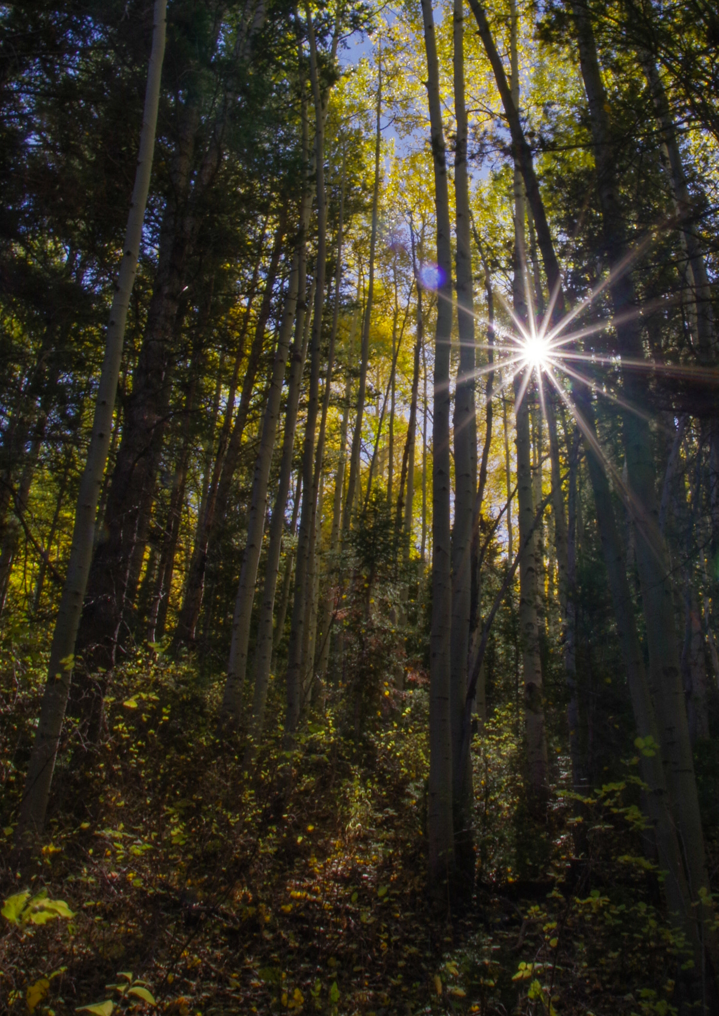 Pentax K-3 sample photo. Stansbury mountains, utah photography