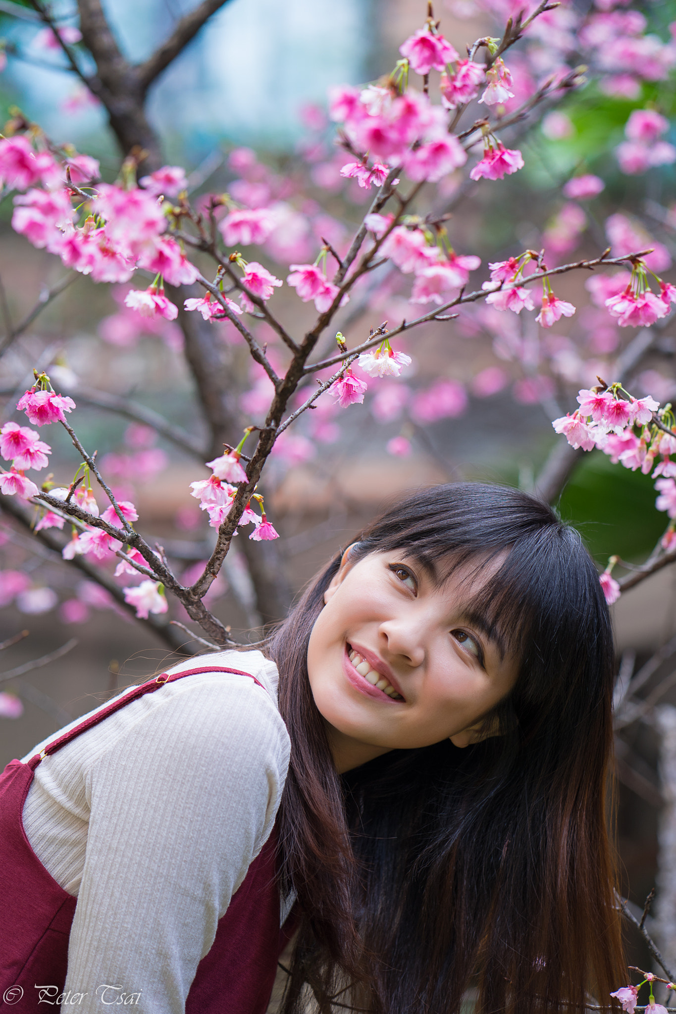 ZEISS Batis 85mm F1.8 sample photo. Sun yu photography