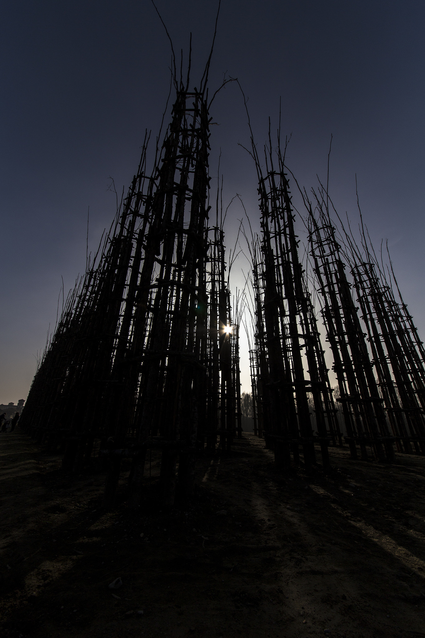 Sigma 12-24mm F4.5-5.6 II DG HSM sample photo. Cattedrale vegetale 1 photography