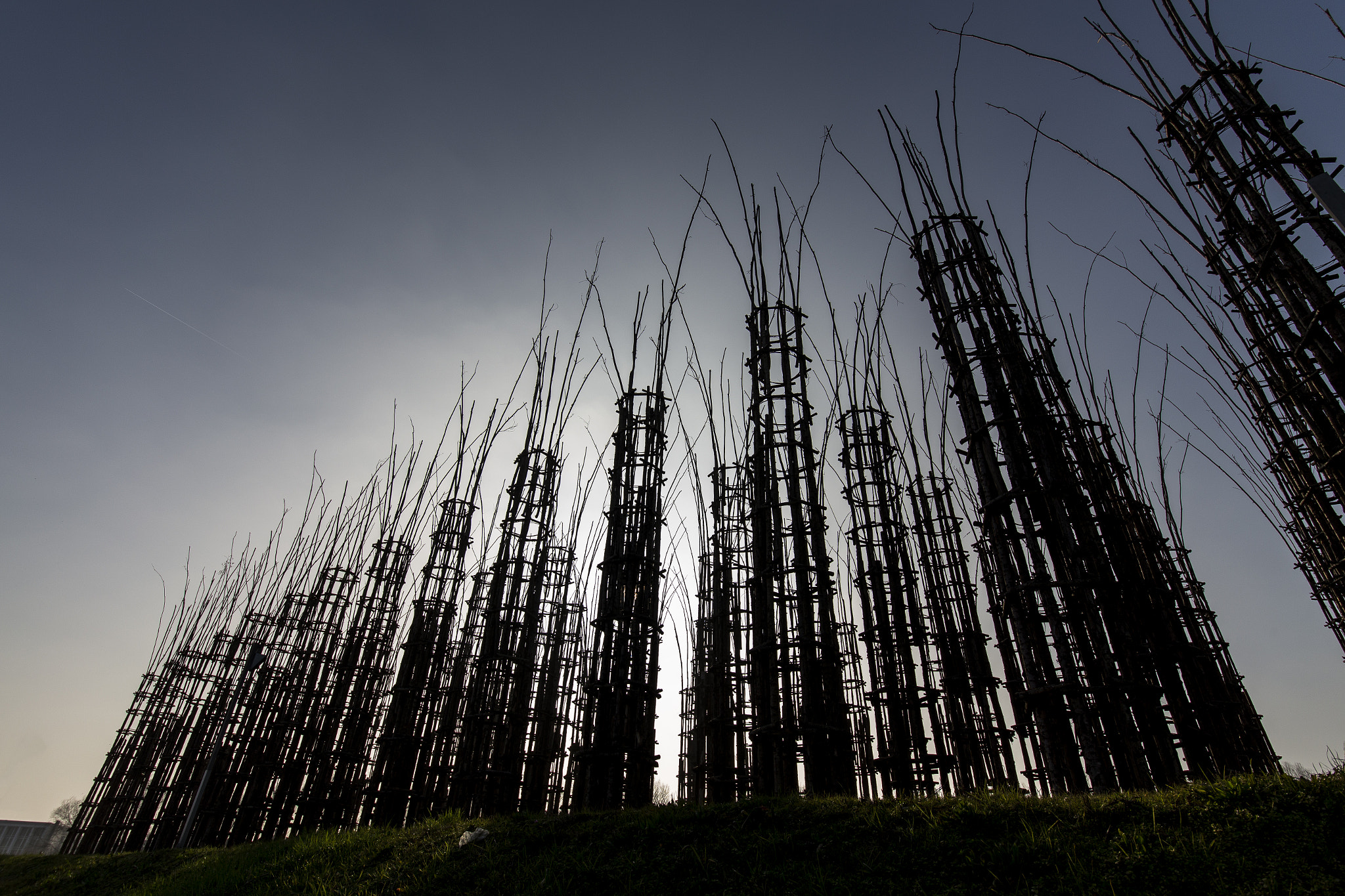 Canon EOS 6D + Sigma 12-24mm F4.5-5.6 II DG HSM sample photo. Cattedrale vegetale 2 photography