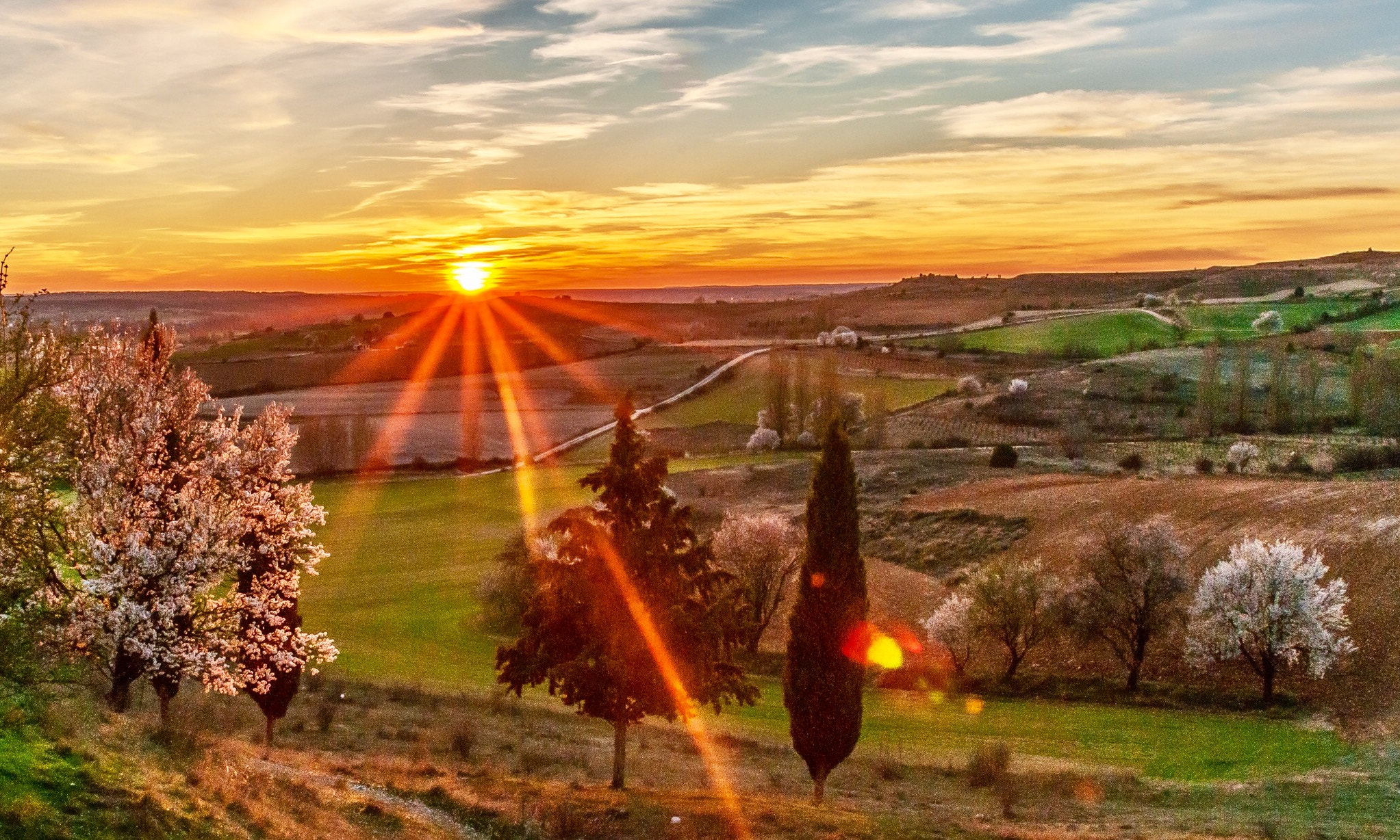 Nikon D300S + Sigma 18-200mm F3.5-6.3 DC OS HSM sample photo. Atardecer en peñaranda de duero, españa. photography