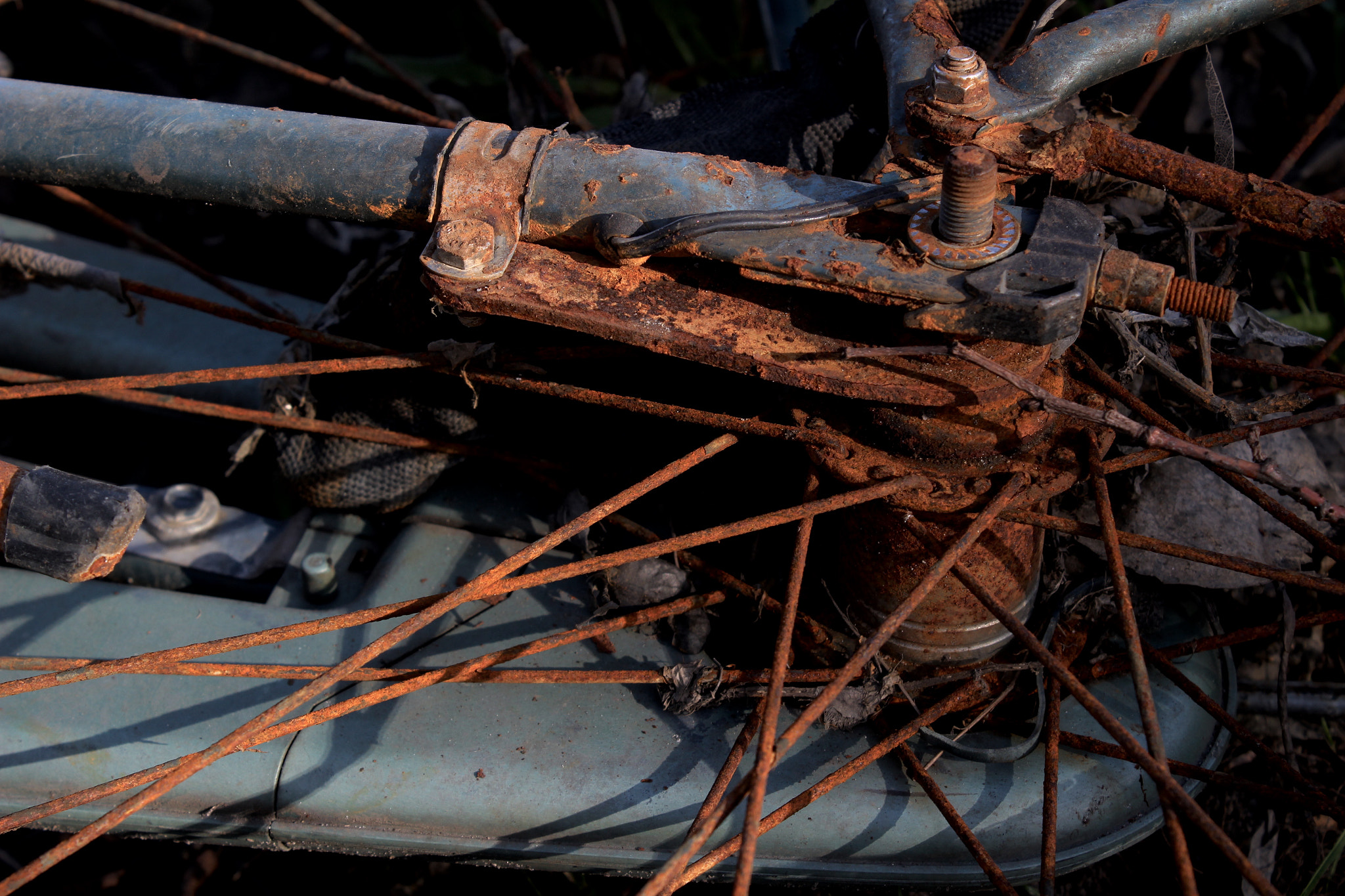 Canon EF-S 18-55mm F3.5-5.6 IS sample photo. Rayo photography