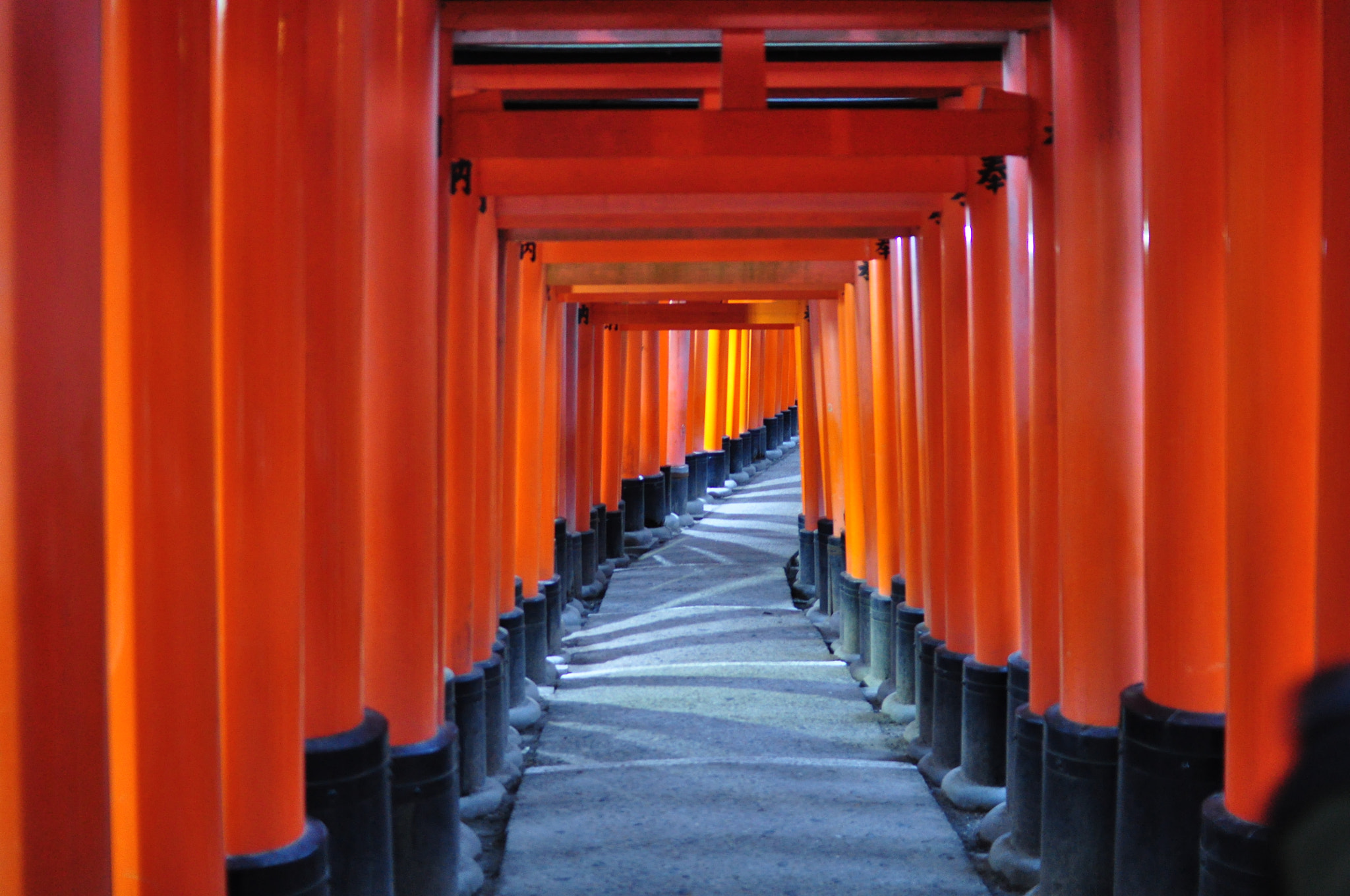 Nikon D90 sample photo. Tori path in fushimi inari taisha (伏見稲荷大社) photography