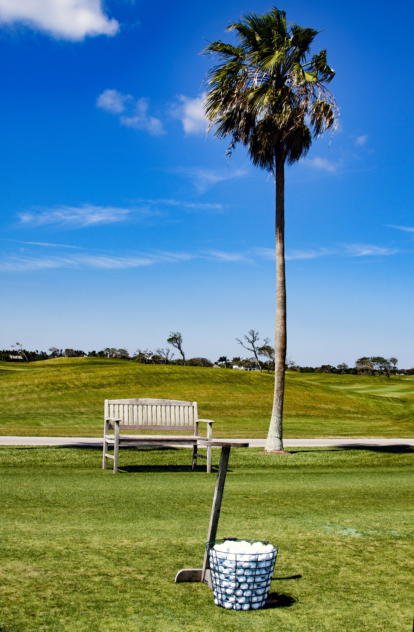 Canon EF 28-135mm F3.5-5.6 IS USM sample photo. It's time for golf. photography