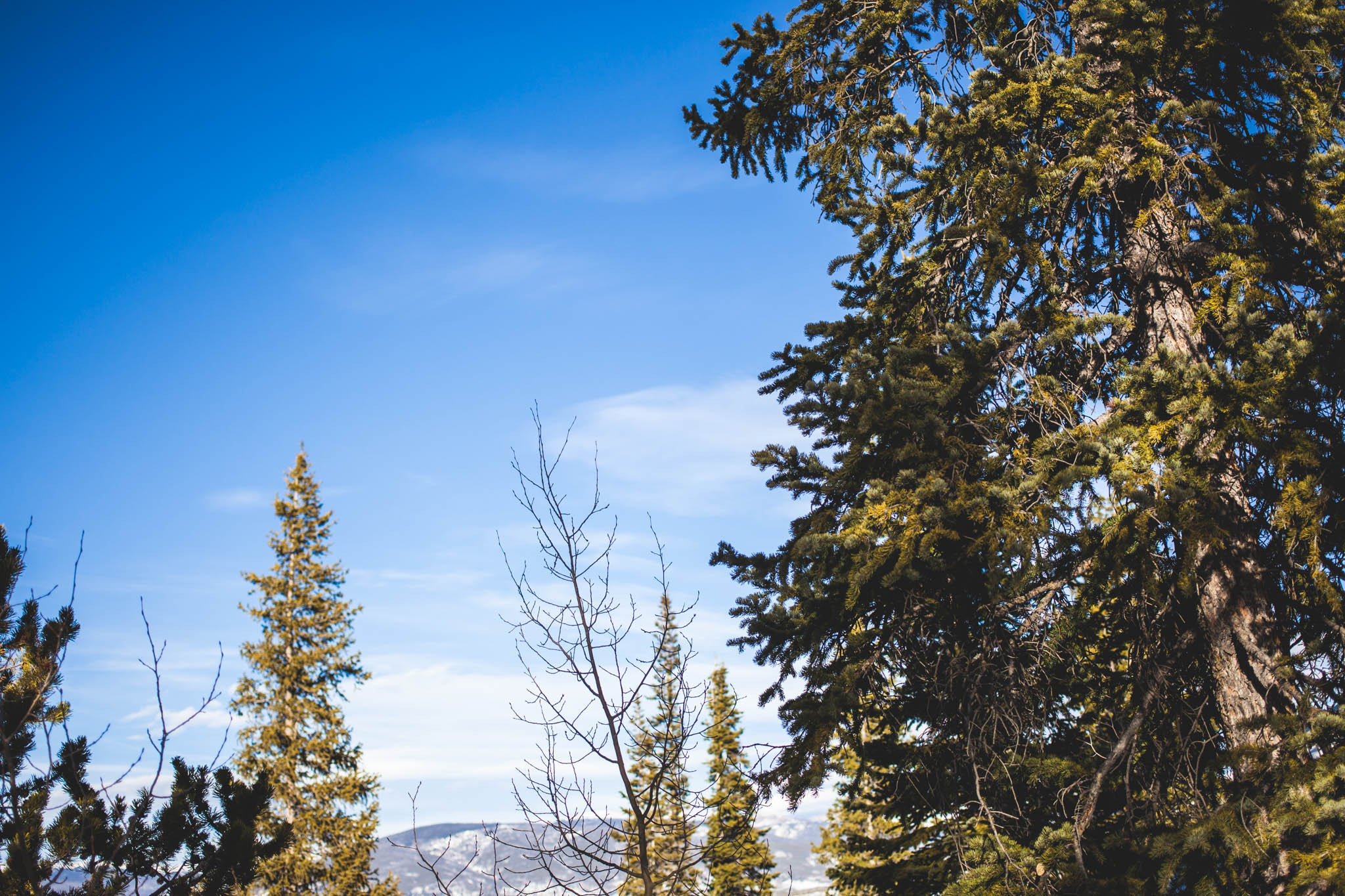 Canon EF 40mm F2.8 STM sample photo. Getting of the beaten path photography