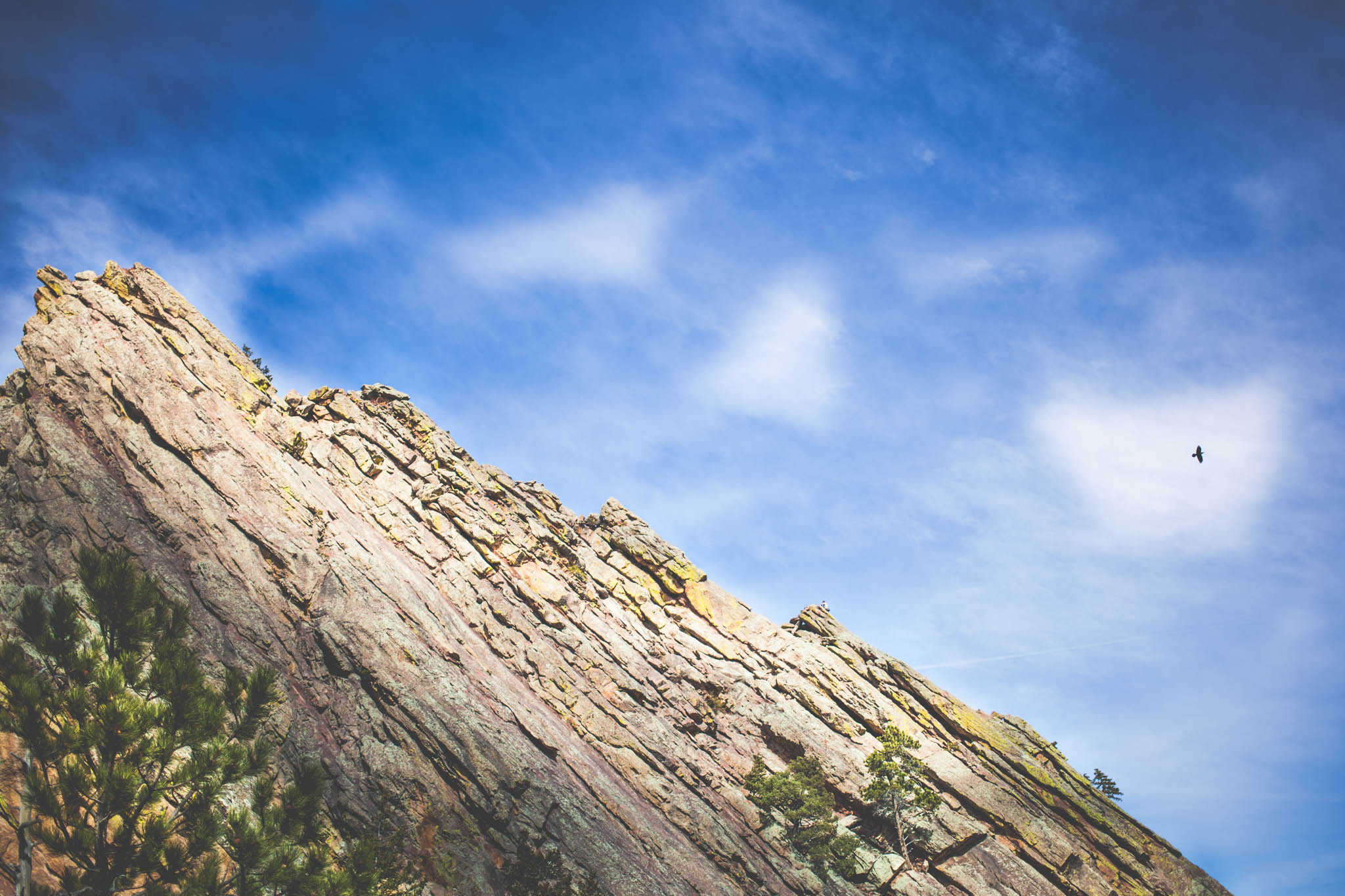Canon EF 40mm F2.8 STM sample photo. The first flatiron photography