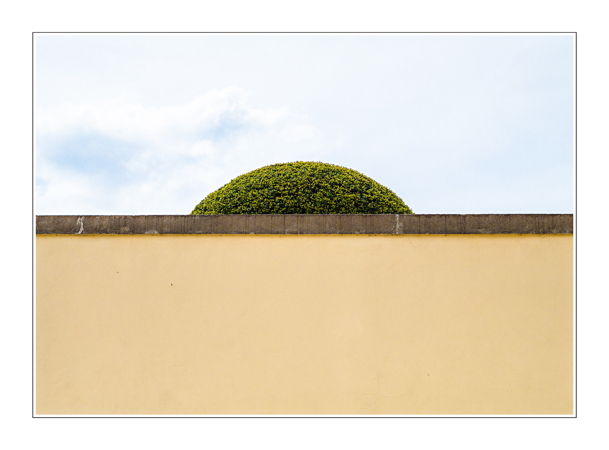 Pentax K-30 sample photo. Hidden tree photography