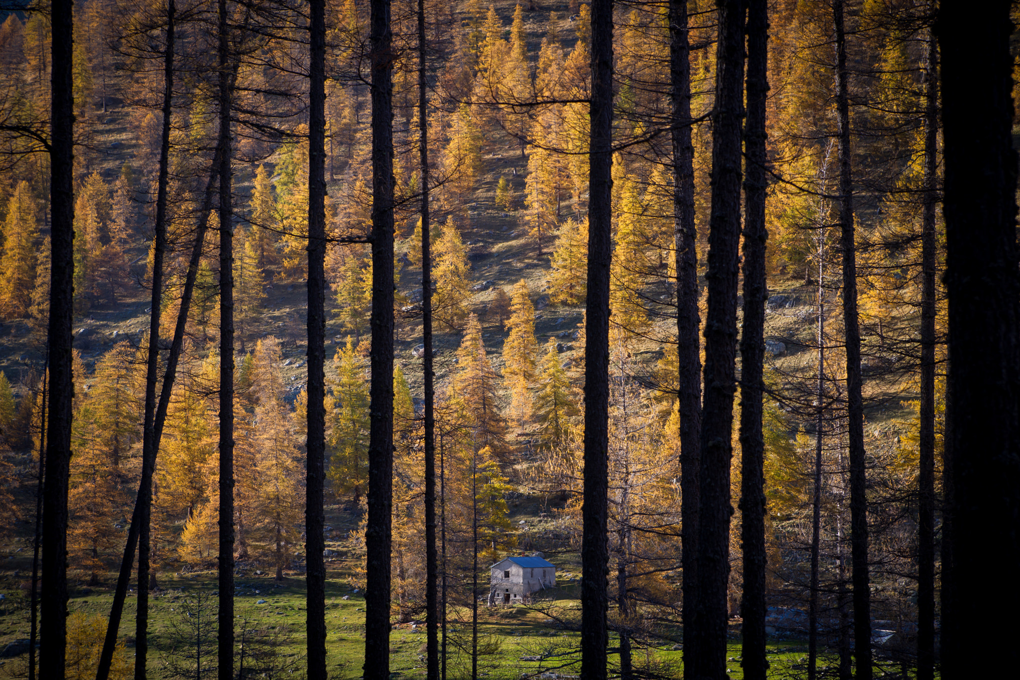 Sony 28-75mm F2.8 SAM sample photo. Mercantour - vallee des merveilles - france photography