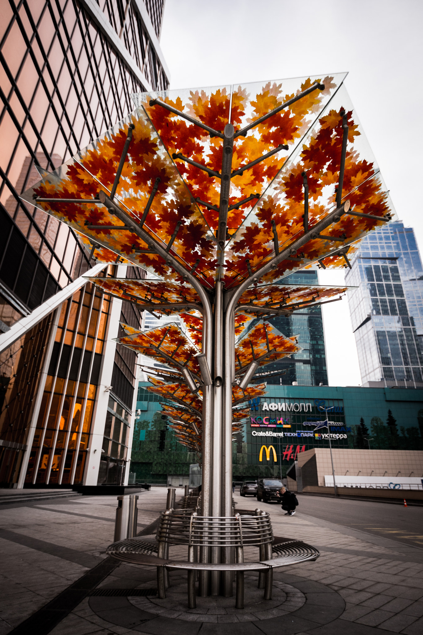 Tokina AT-X Pro 12-24mm F4 (IF) DX sample photo. Tree photography