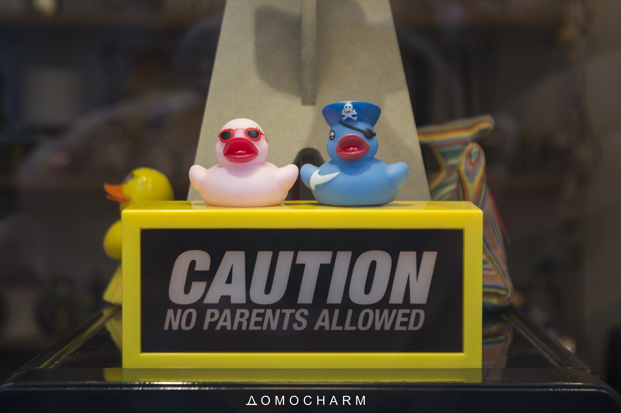 Canon EF-S 18-55mm F3.5-5.6 IS sample photo. Caution parents! photography