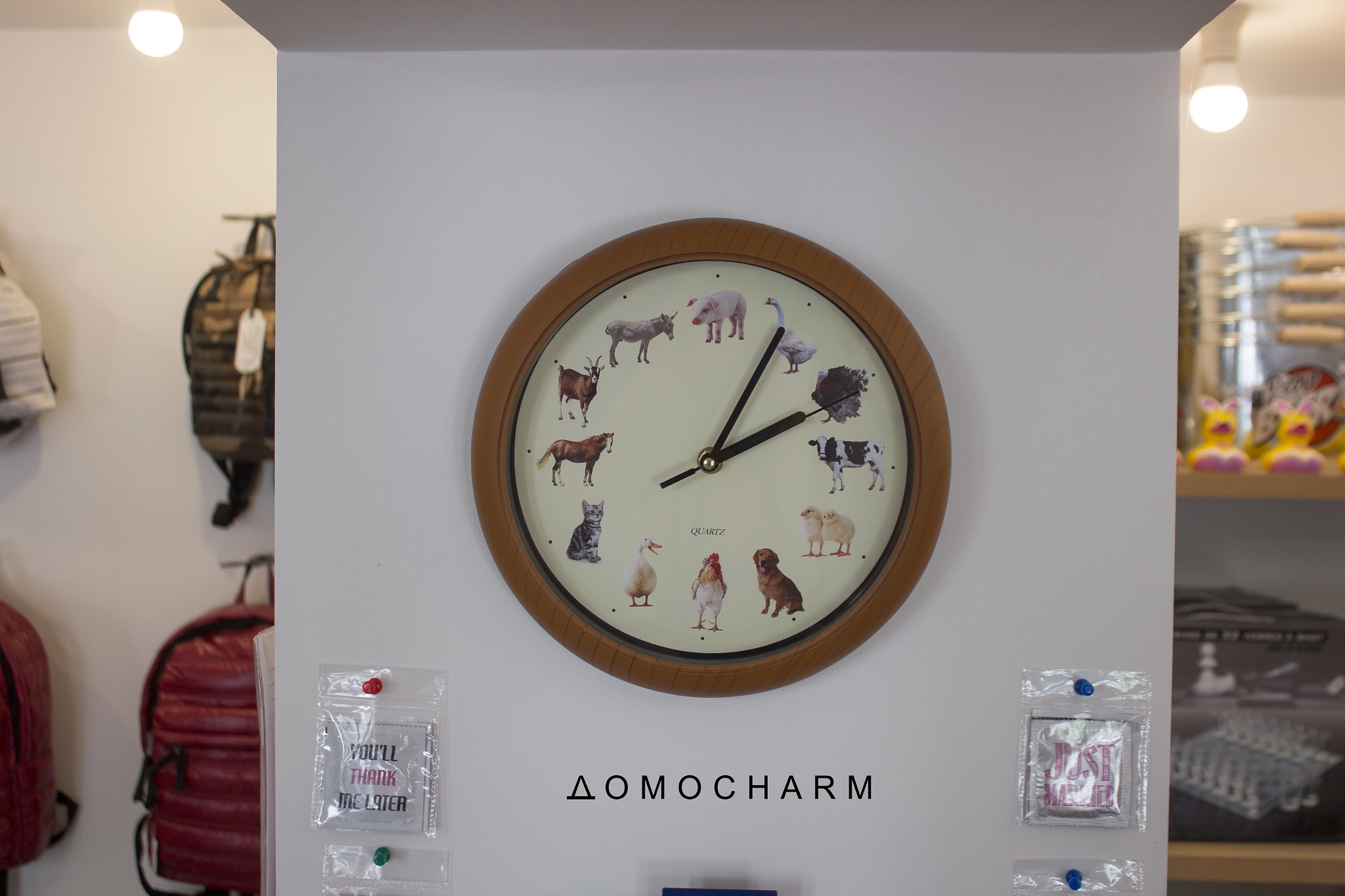 Canon EF-S 18-55mm F3.5-5.6 IS sample photo. Animals clock photography