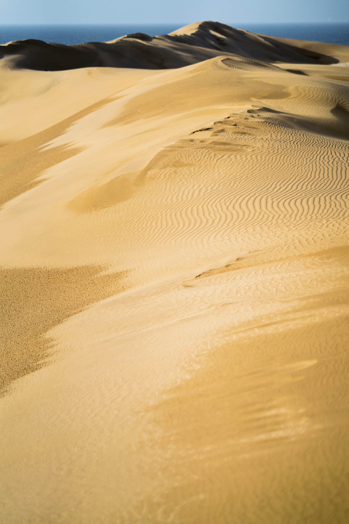Sony FE 85mm F1.4 GM sample photo. Desert & sea photography