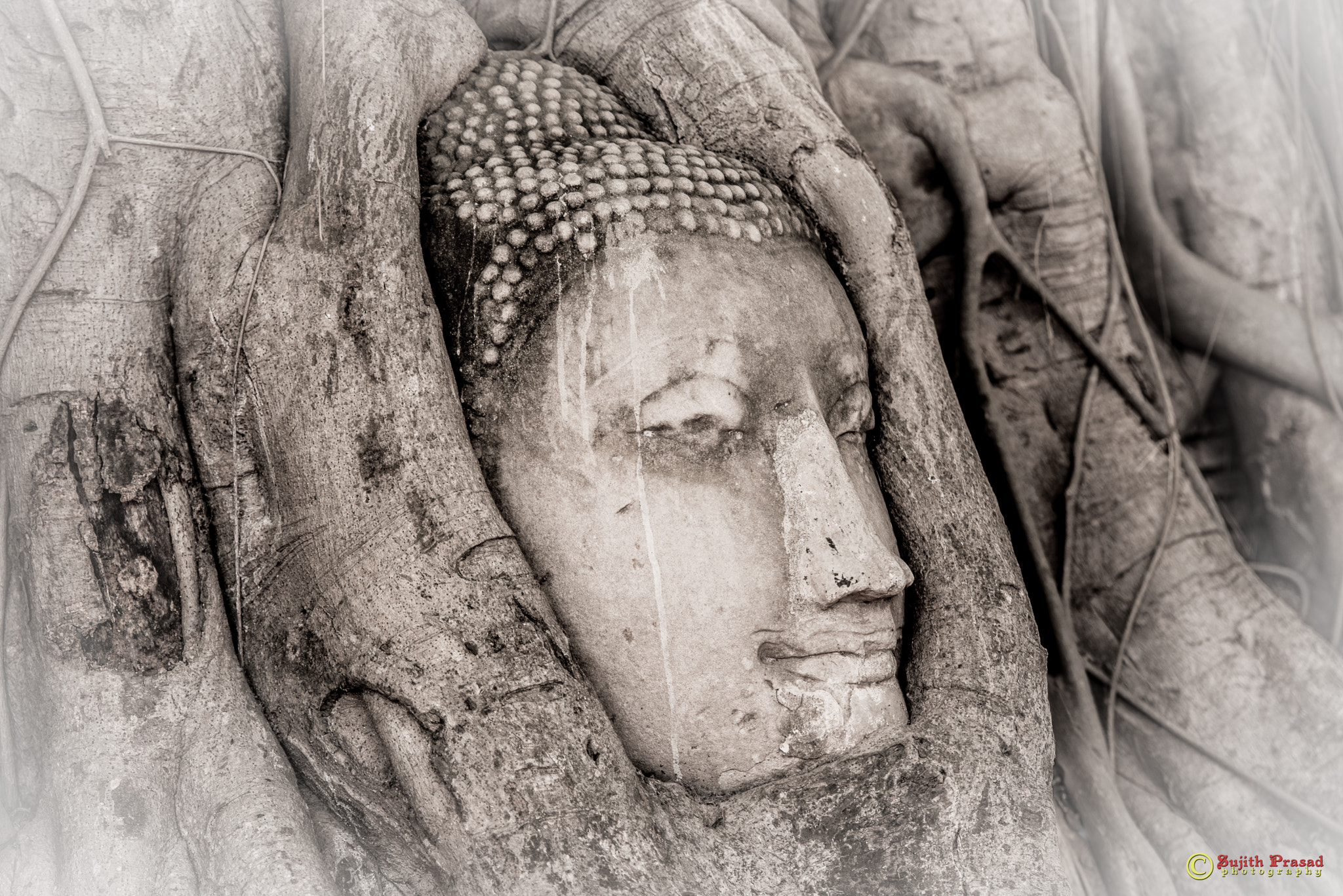 Nikon AF-S Nikkor 70-200mm F2.8G ED VR II sample photo. Buddha head in a tree at wat mahatat, ayutthaya photography