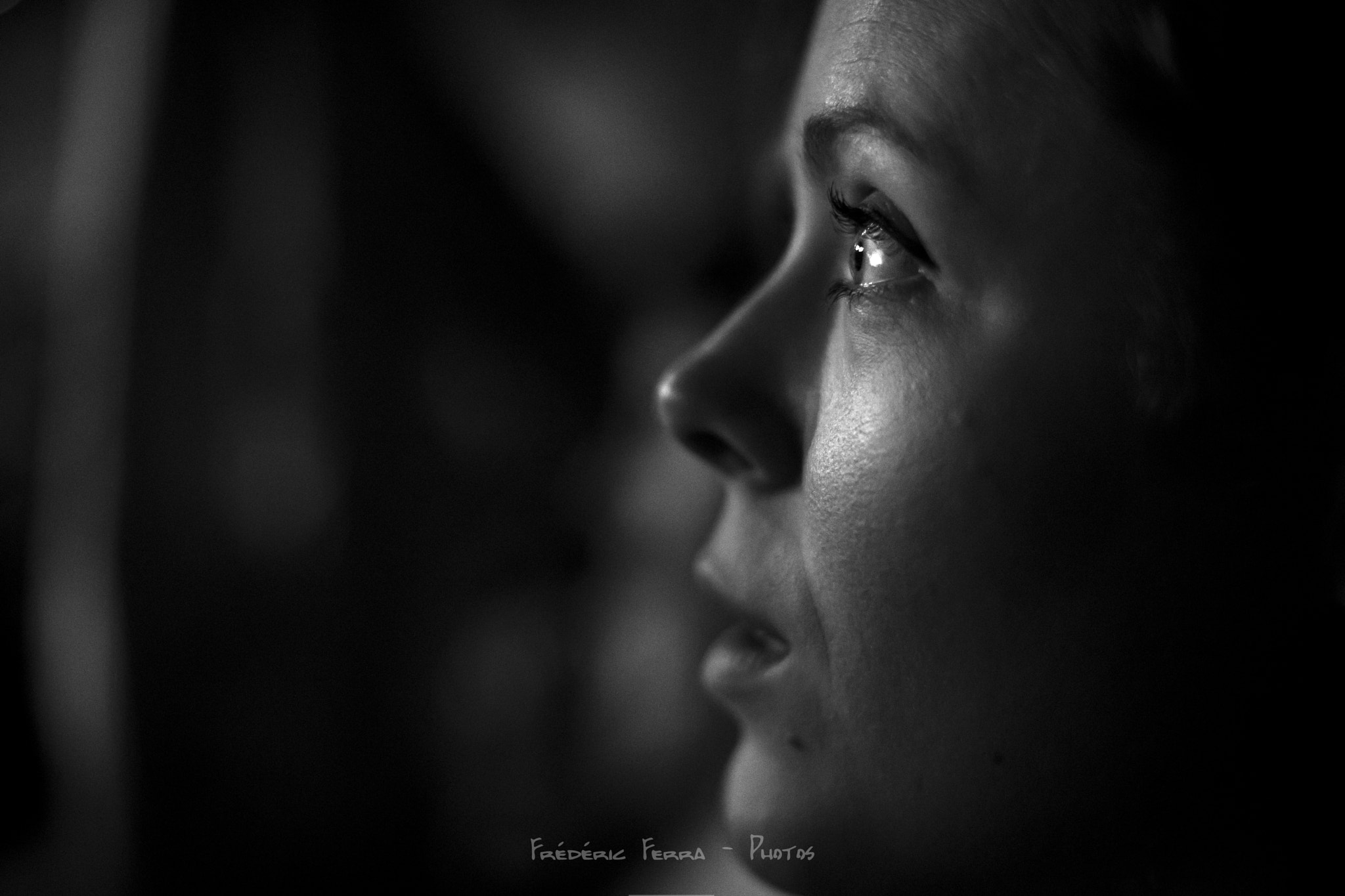 Canon EF 50mm F1.4 USM sample photo. Stuning by the movie photography