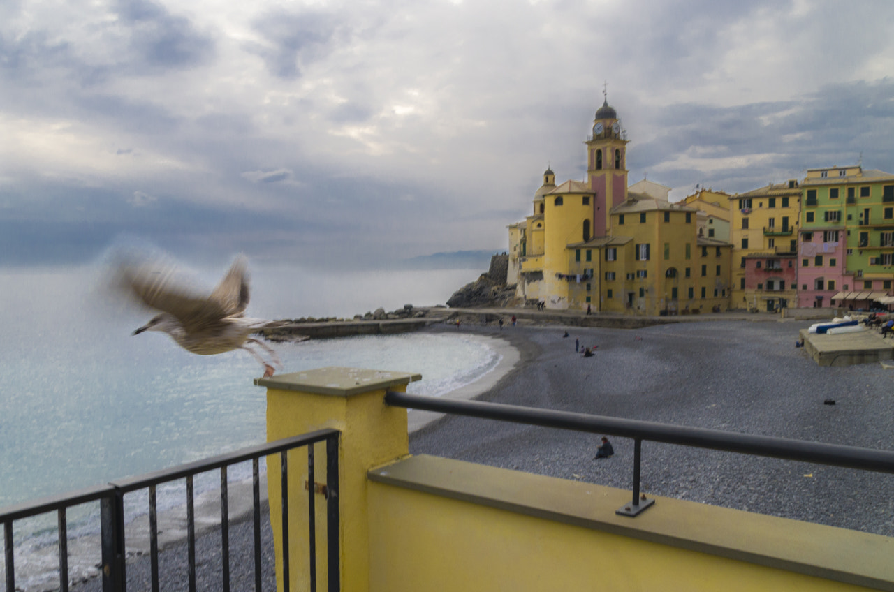 Pentax K-5 sample photo. Camogli photography
