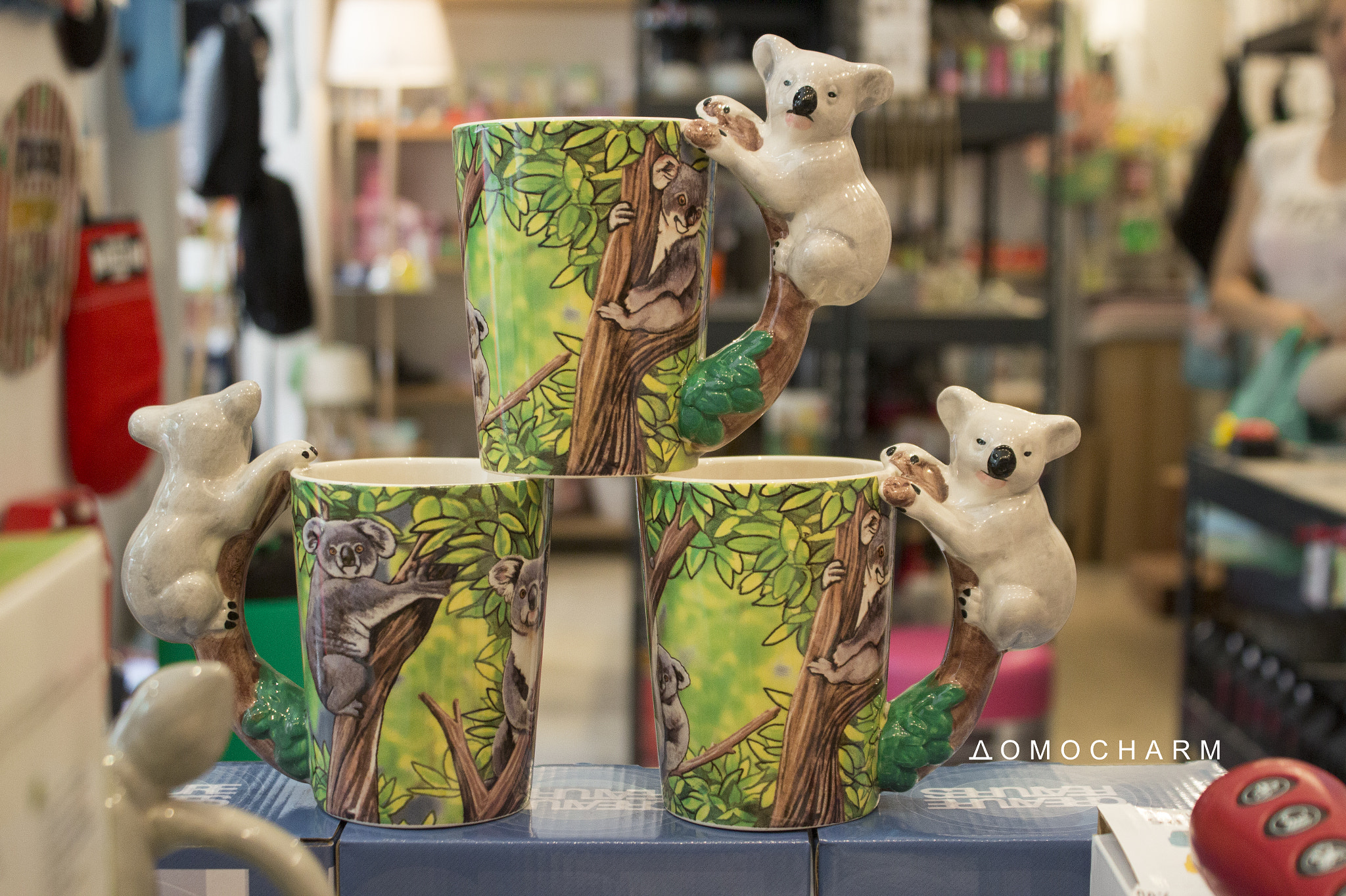 Canon EF-S 18-55mm F3.5-5.6 IS sample photo. Koalas photography