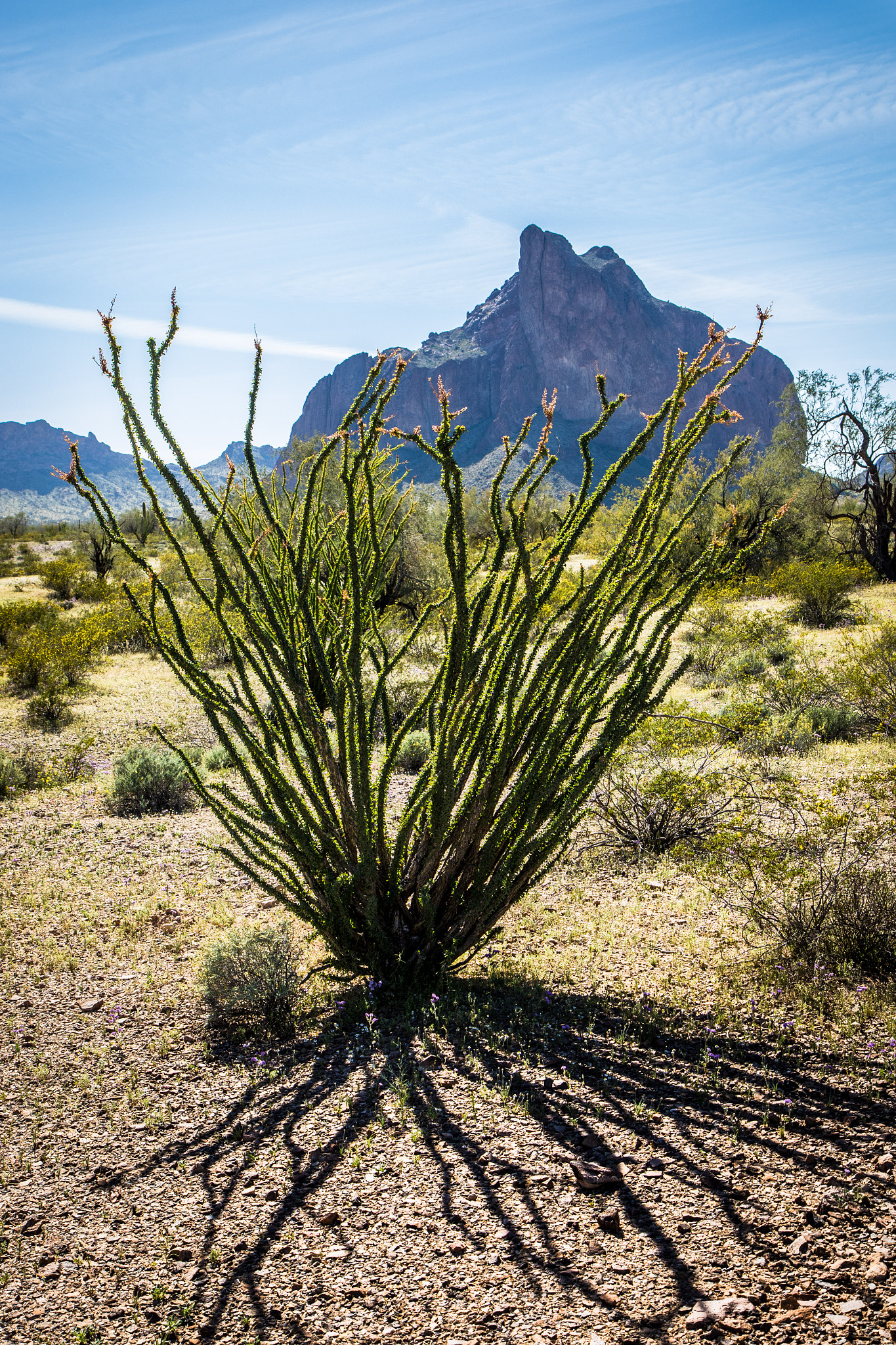 Canon EF-S 17-55mm F2.8 IS USM sample photo. Courthouse rock photography