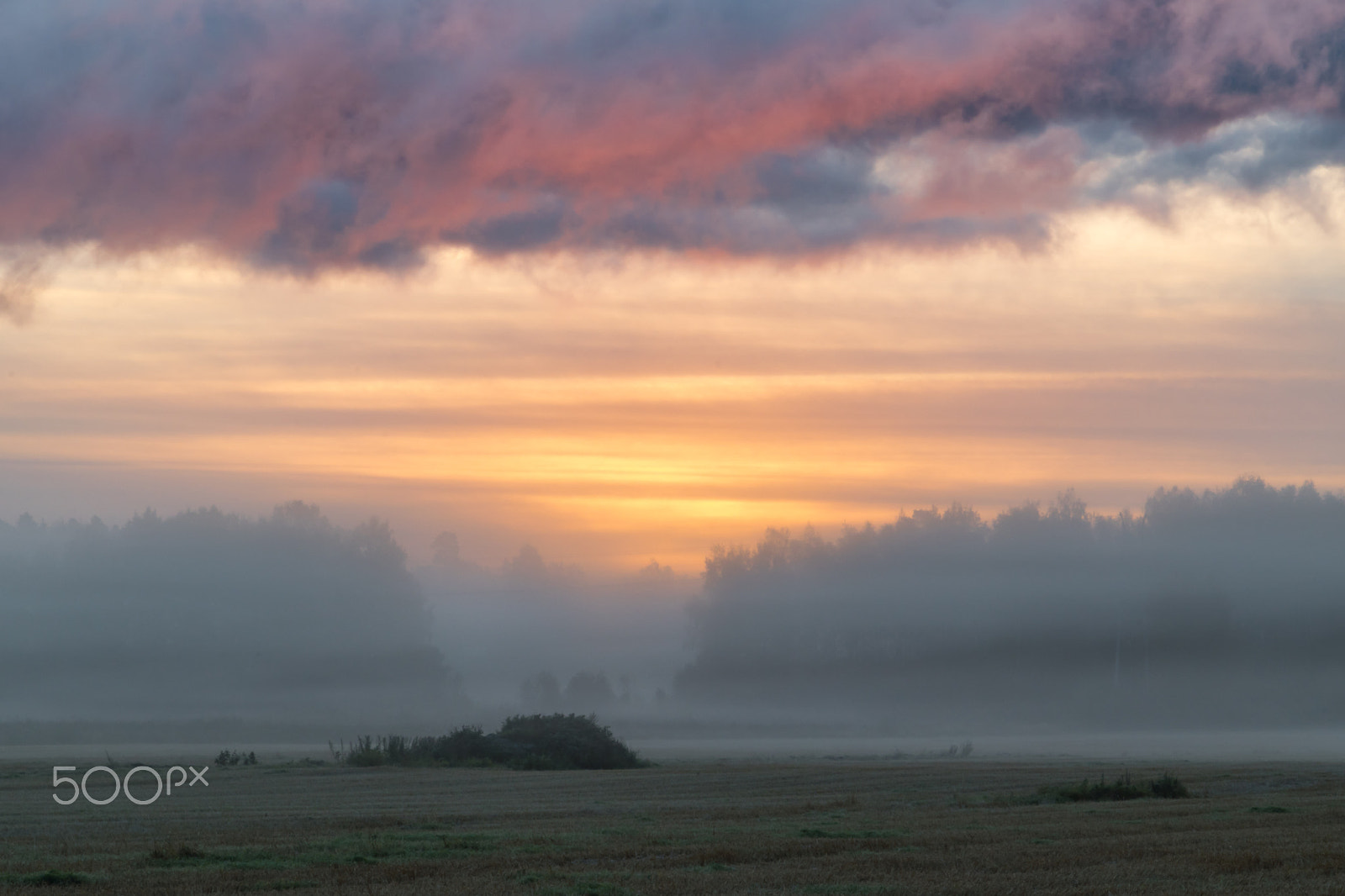 Nikon D5500 sample photo. Early morning moments photography