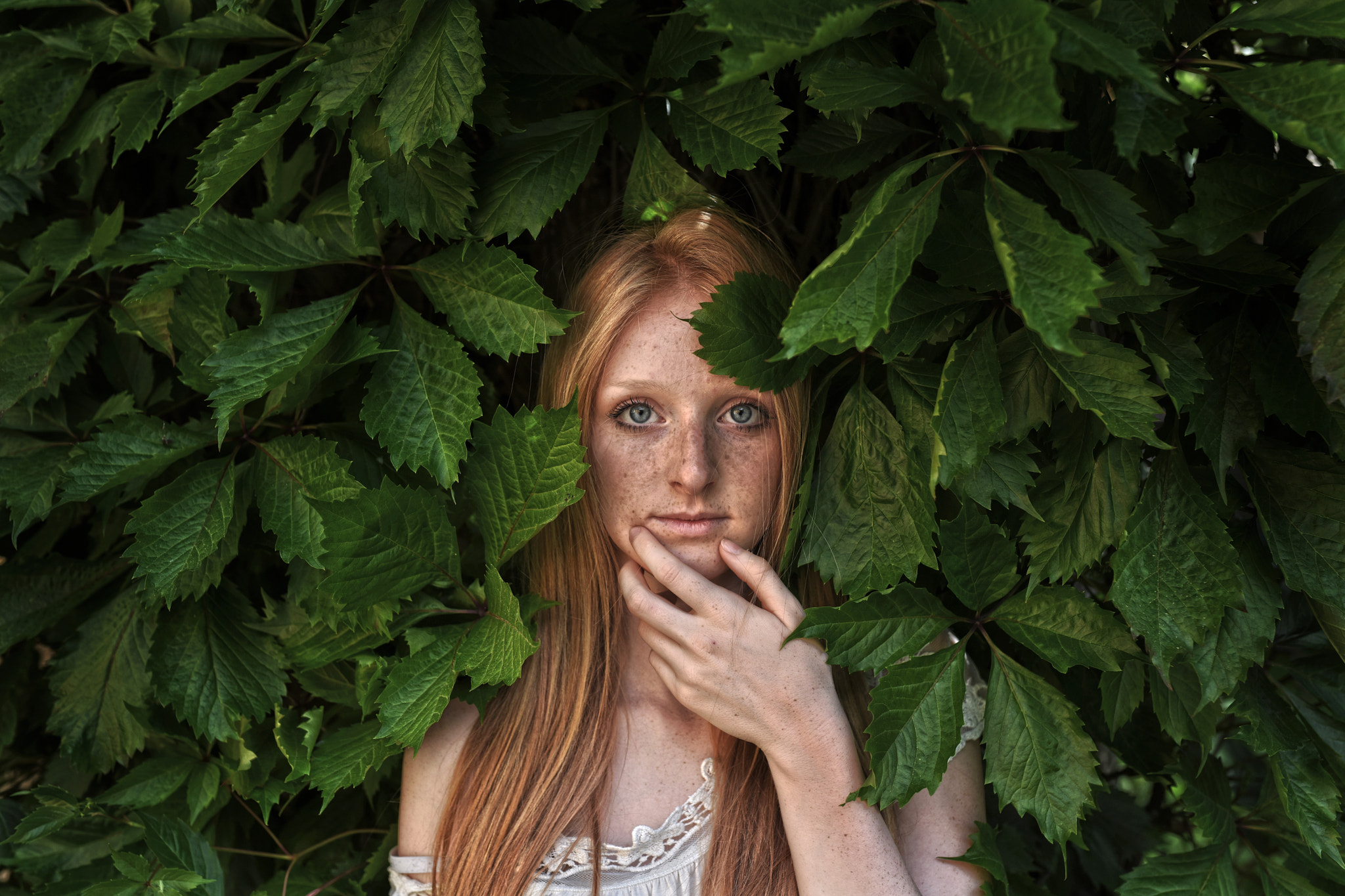 Nikon D810 + Sigma 35mm F1.4 DG HSM Art sample photo. Dsc hghdddcopia photography