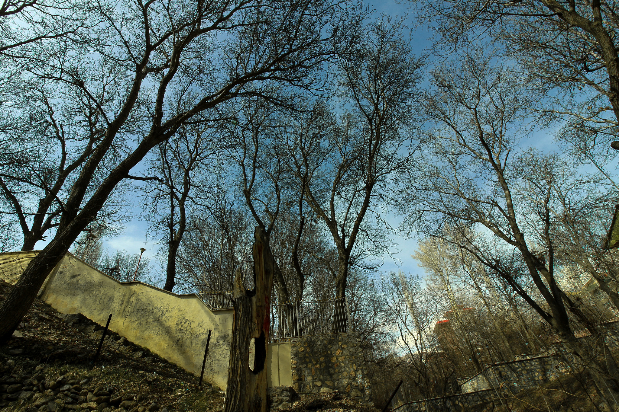 Canon EOS 650D (EOS Rebel T4i / EOS Kiss X6i) sample photo. Creeping up the sky photography