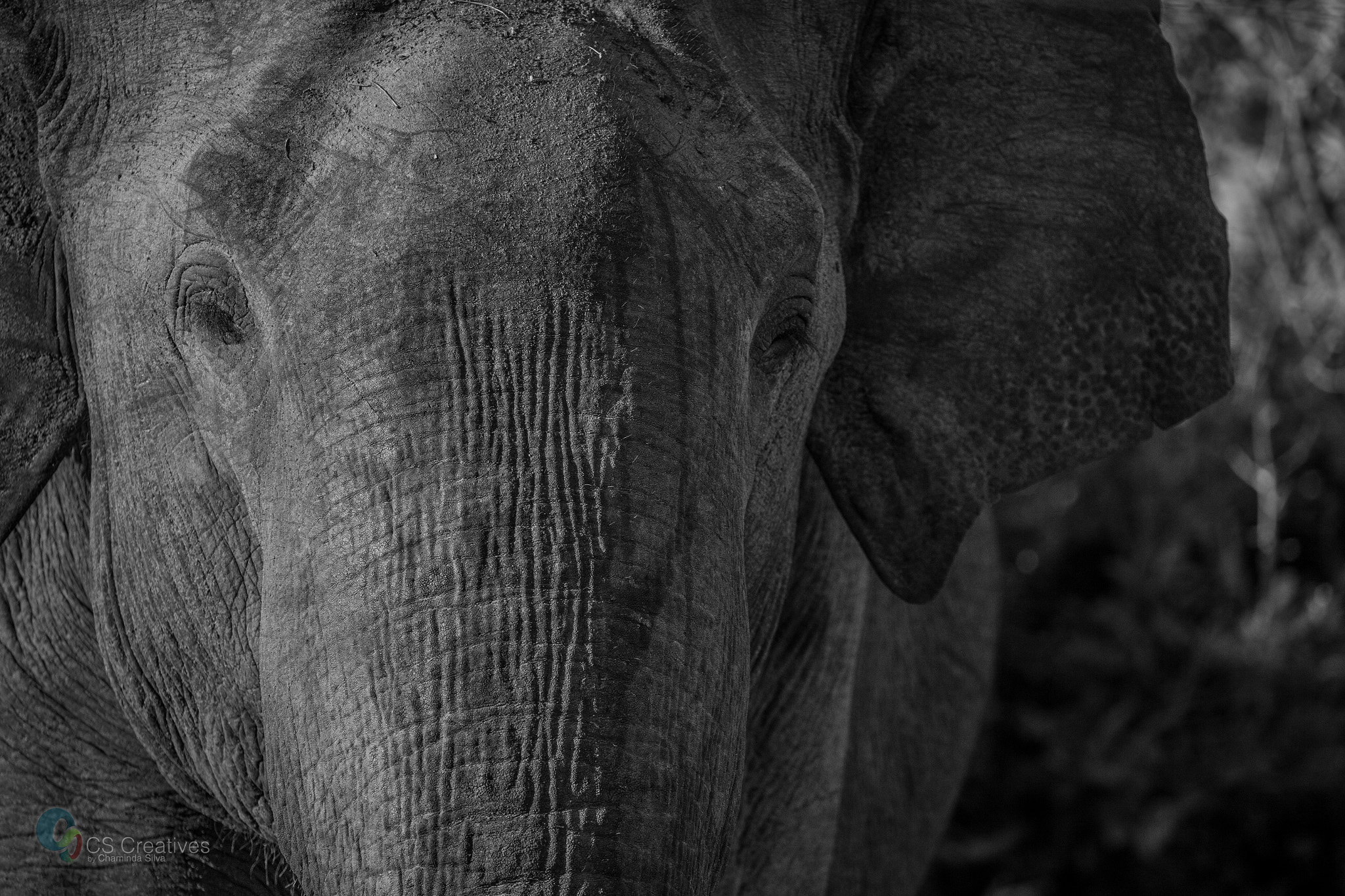 Canon EOS-1D X sample photo. Eyes closed photography