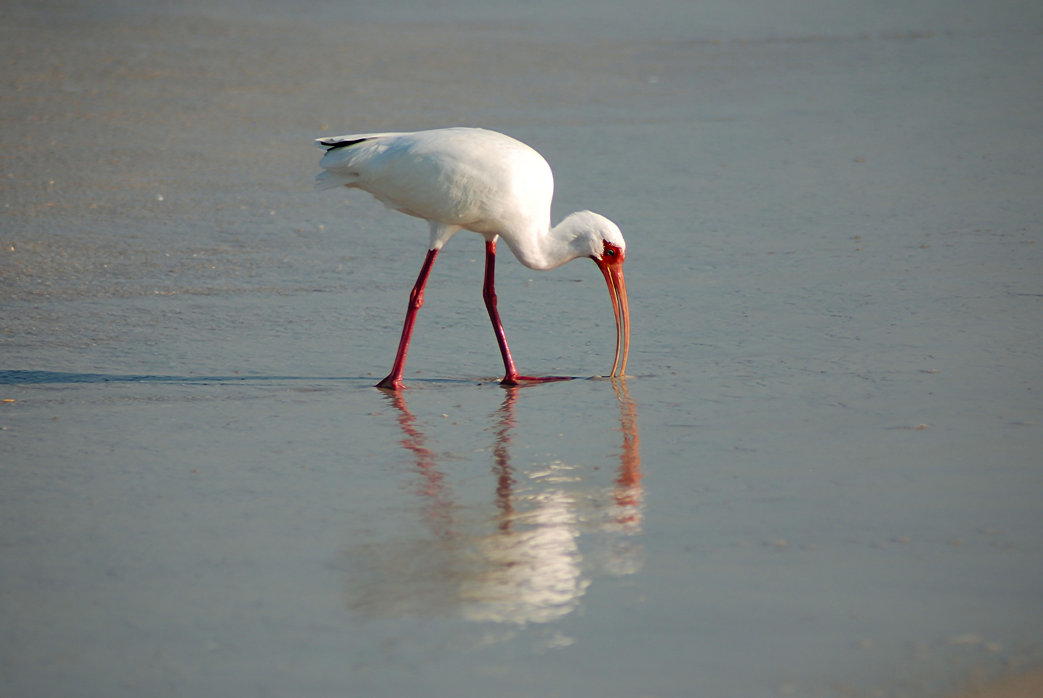 Nikon D80 sample photo. Beauty photography