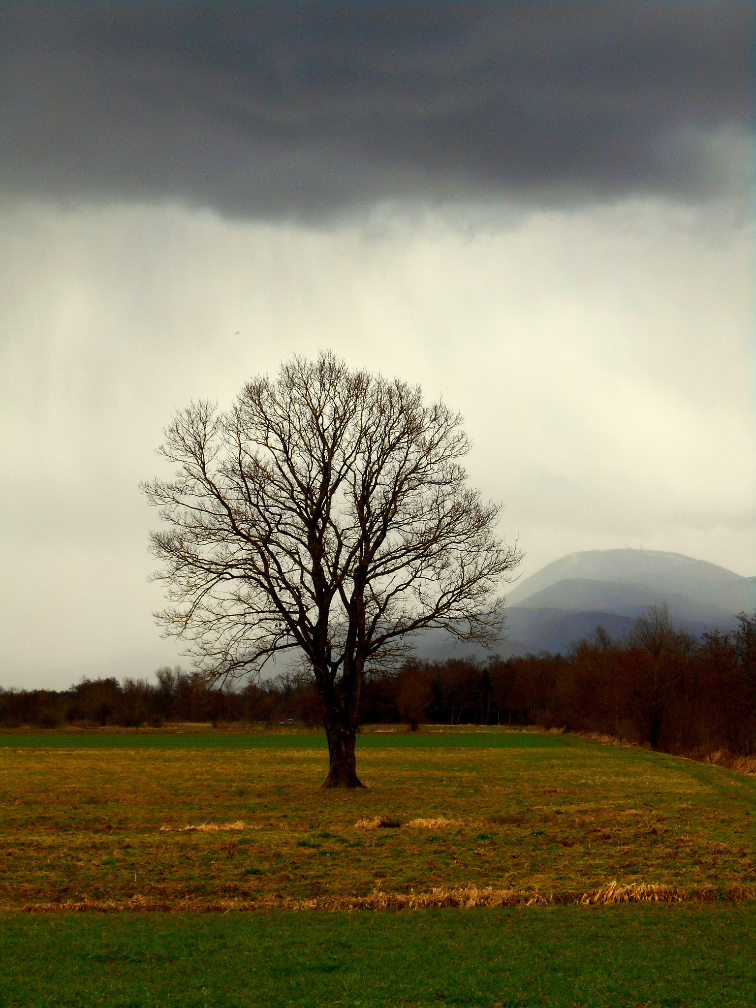 Nikon Coolpix S2900 sample photo. Coming of the storm photography