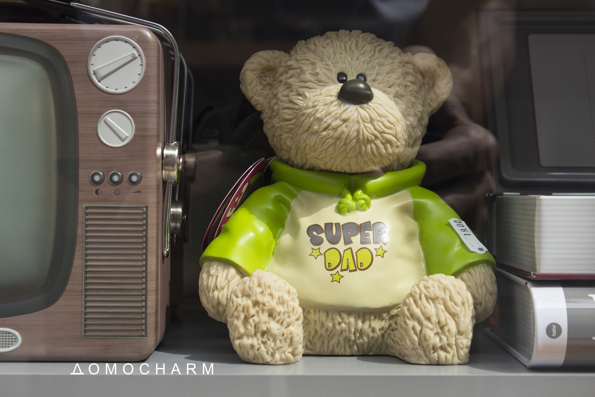 Canon EF-S 18-55mm F3.5-5.6 IS sample photo. A bear photography