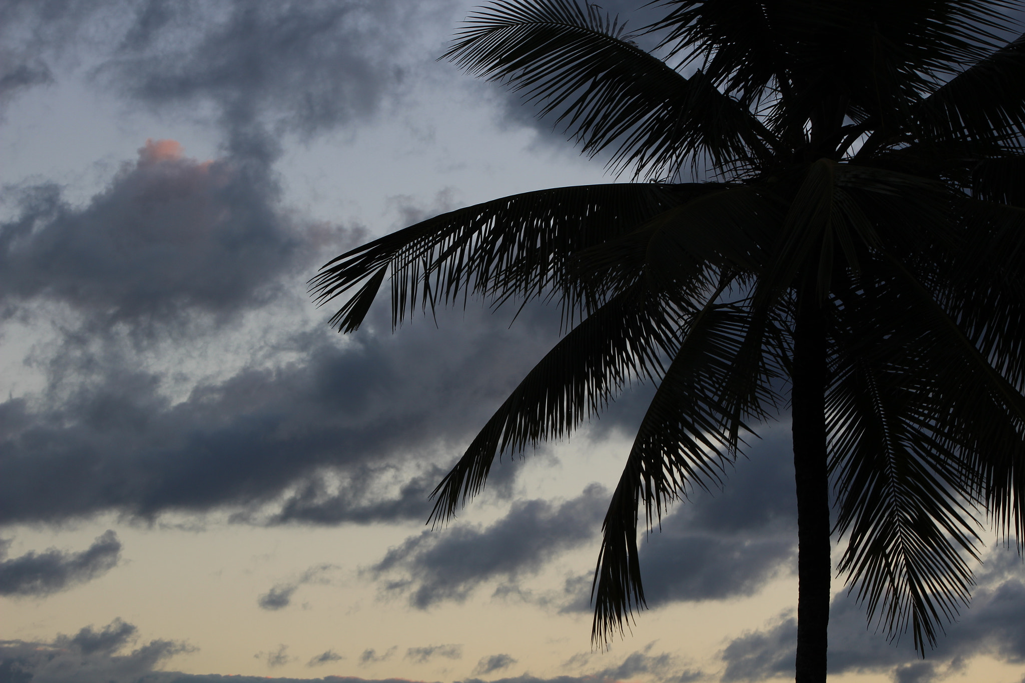Canon EF 75-300mm f/4-5.6 USM sample photo