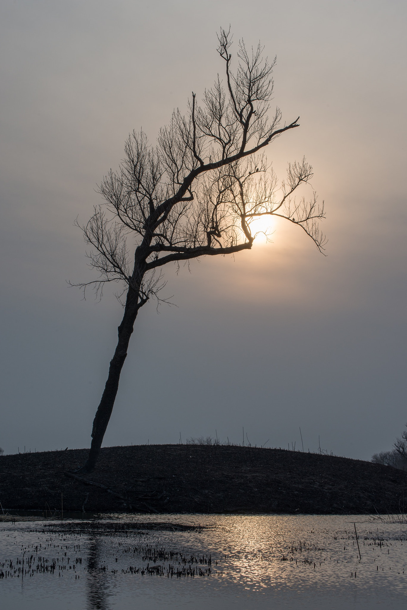 Nikon D800 sample photo. Remaining photography