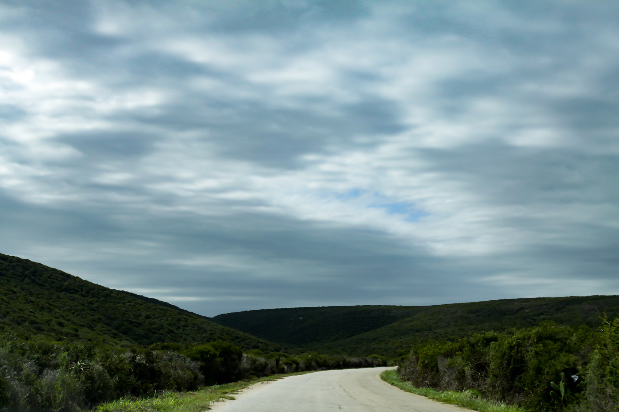 Canon EOS 50D sample photo. Cloudy day on the addo elephant  park road photography