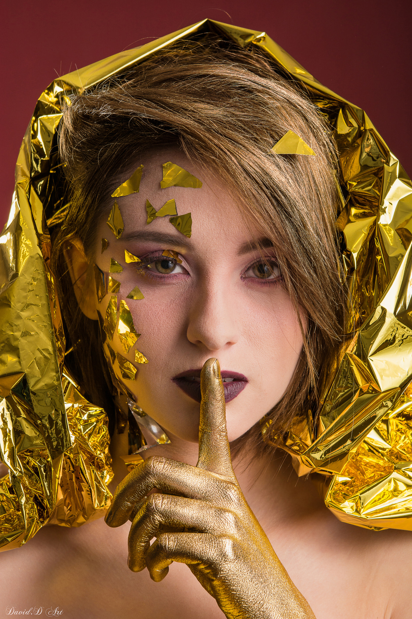 Nikon AF-S Nikkor 24-70mm F2.8G ED sample photo. Gold woman 2 photography
