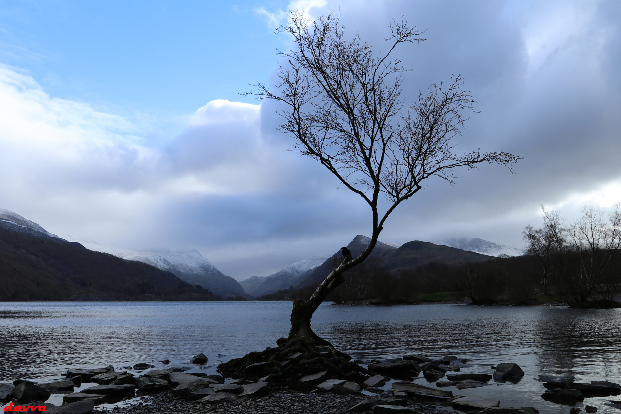 Canon EOS 80D + Canon EF 17-40mm F4L USM sample photo. The lonely tree photography