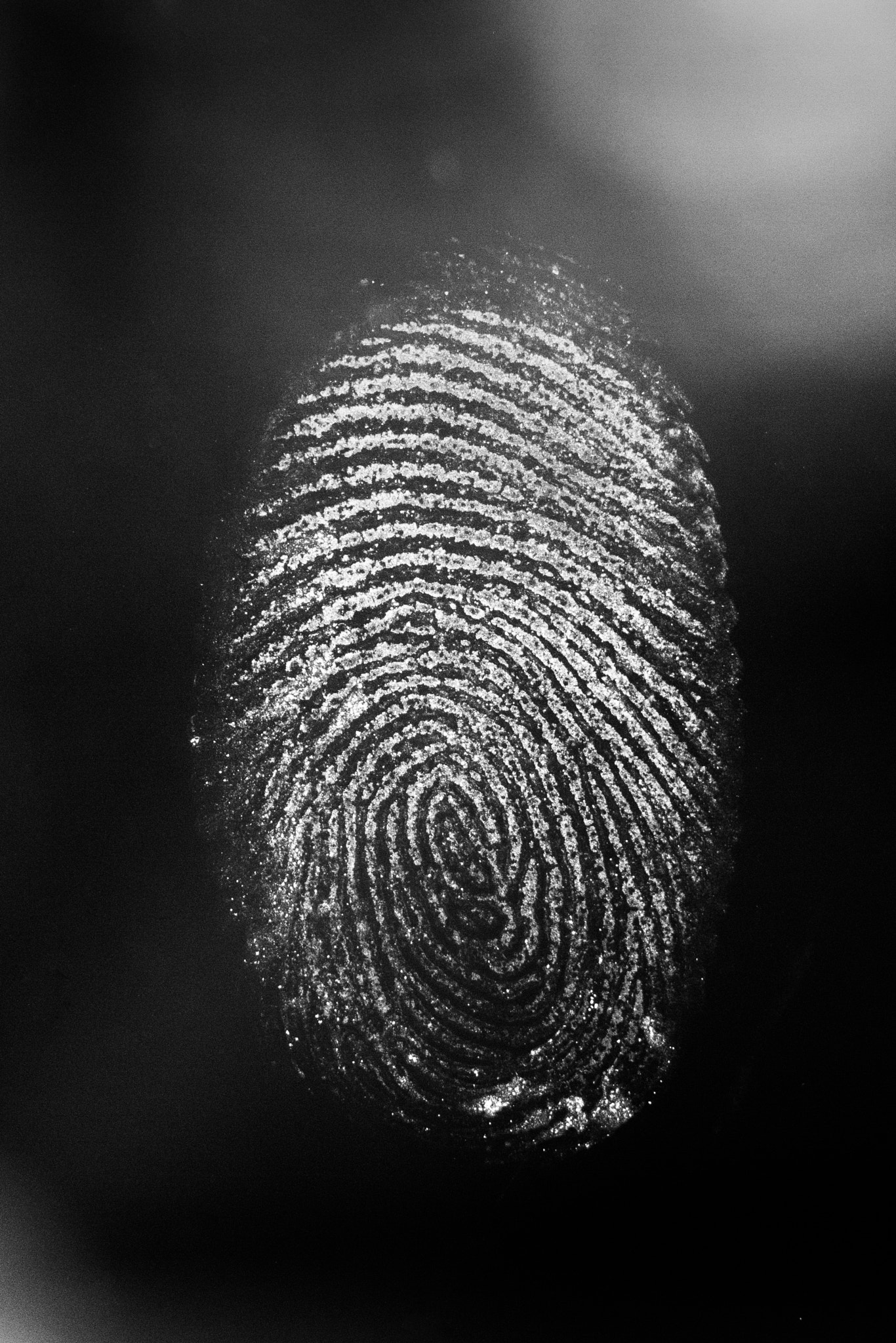 Canon EOS 7D sample photo. Fingerprint photography