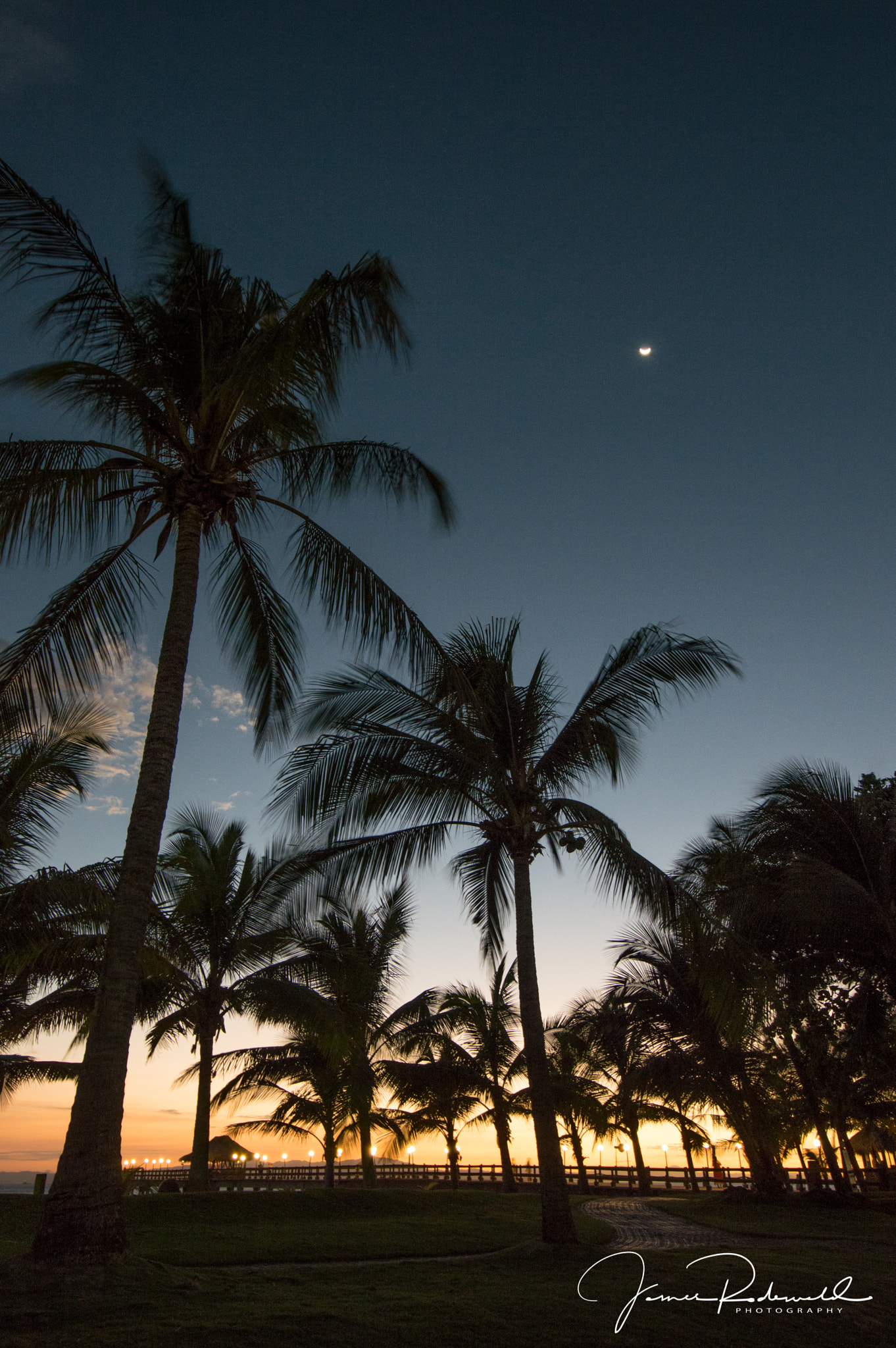 Nikon D3200 sample photo. Sunset over palms photography