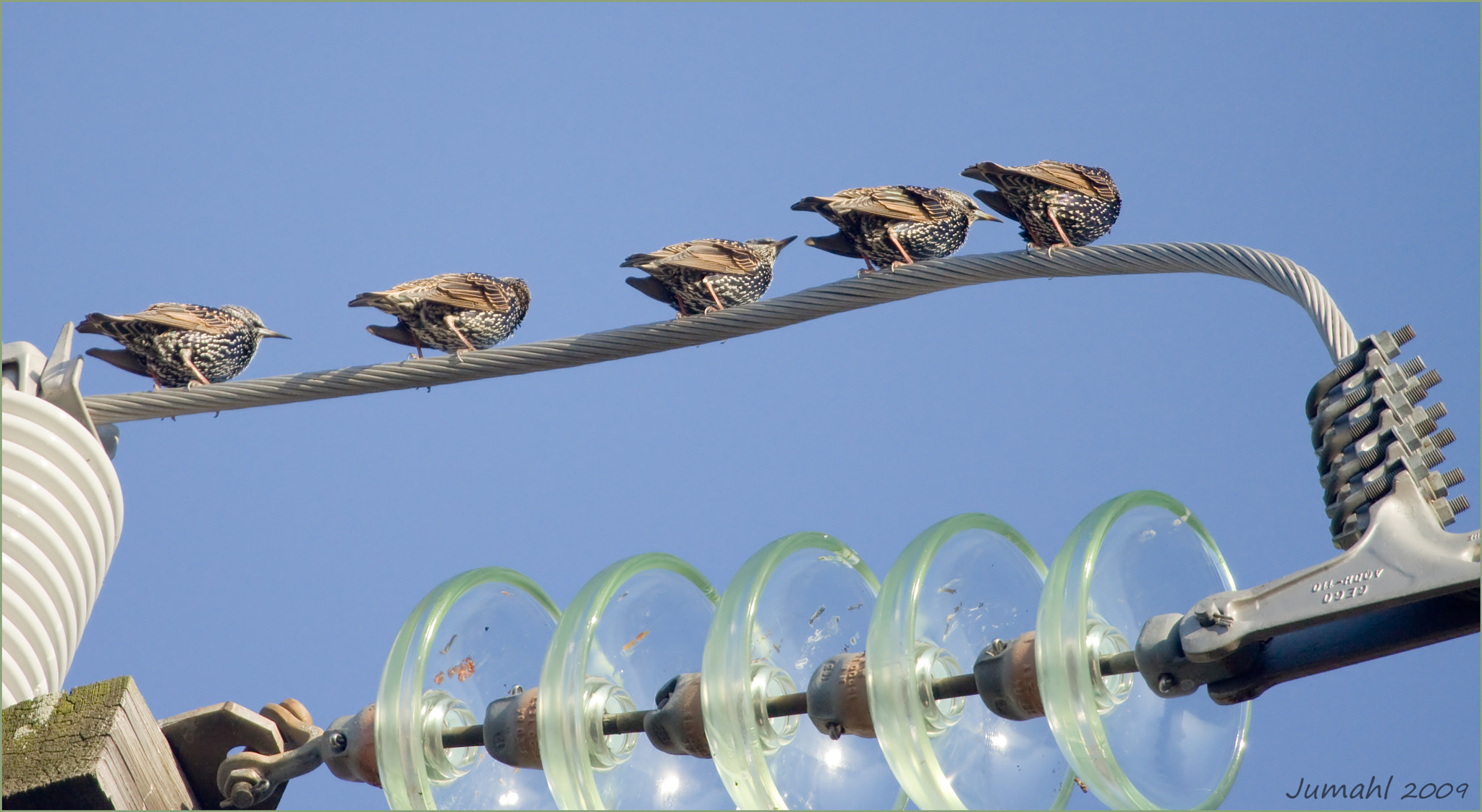Canon EF 100-400mm F4.5-5.6L IS USM sample photo. To each his own photography