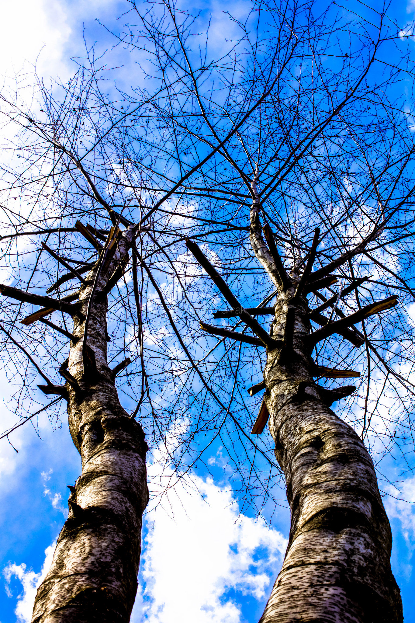 Canon EOS 5DS R sample photo. You & i photography