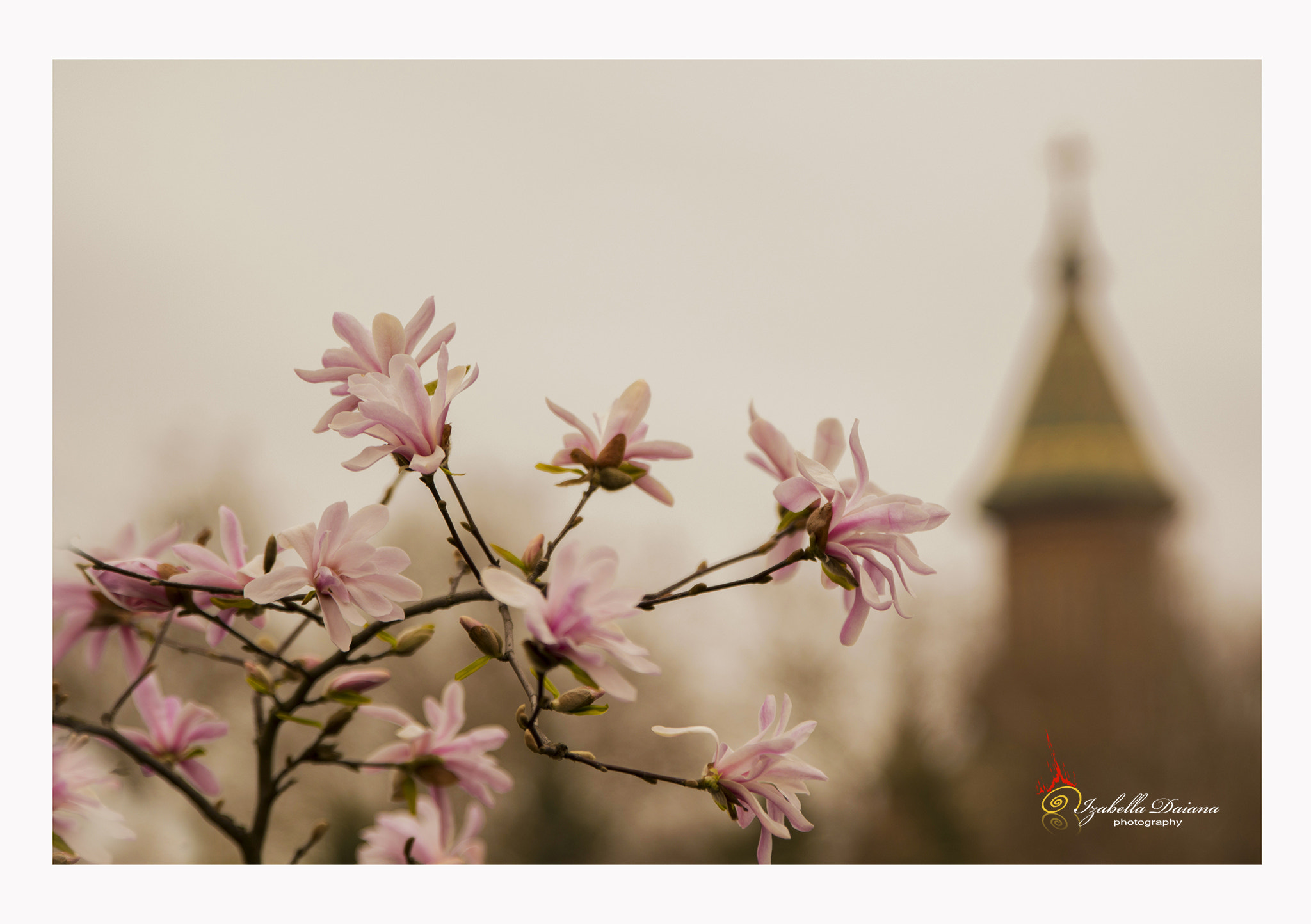 Nikon D7100 sample photo. Beautiful spring photography