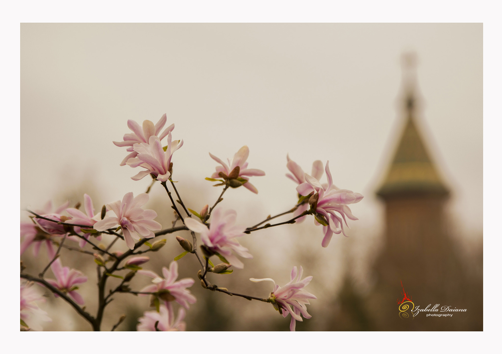 Tamron SP 24-70mm F2.8 Di VC USD sample photo. Beautiful spring photography