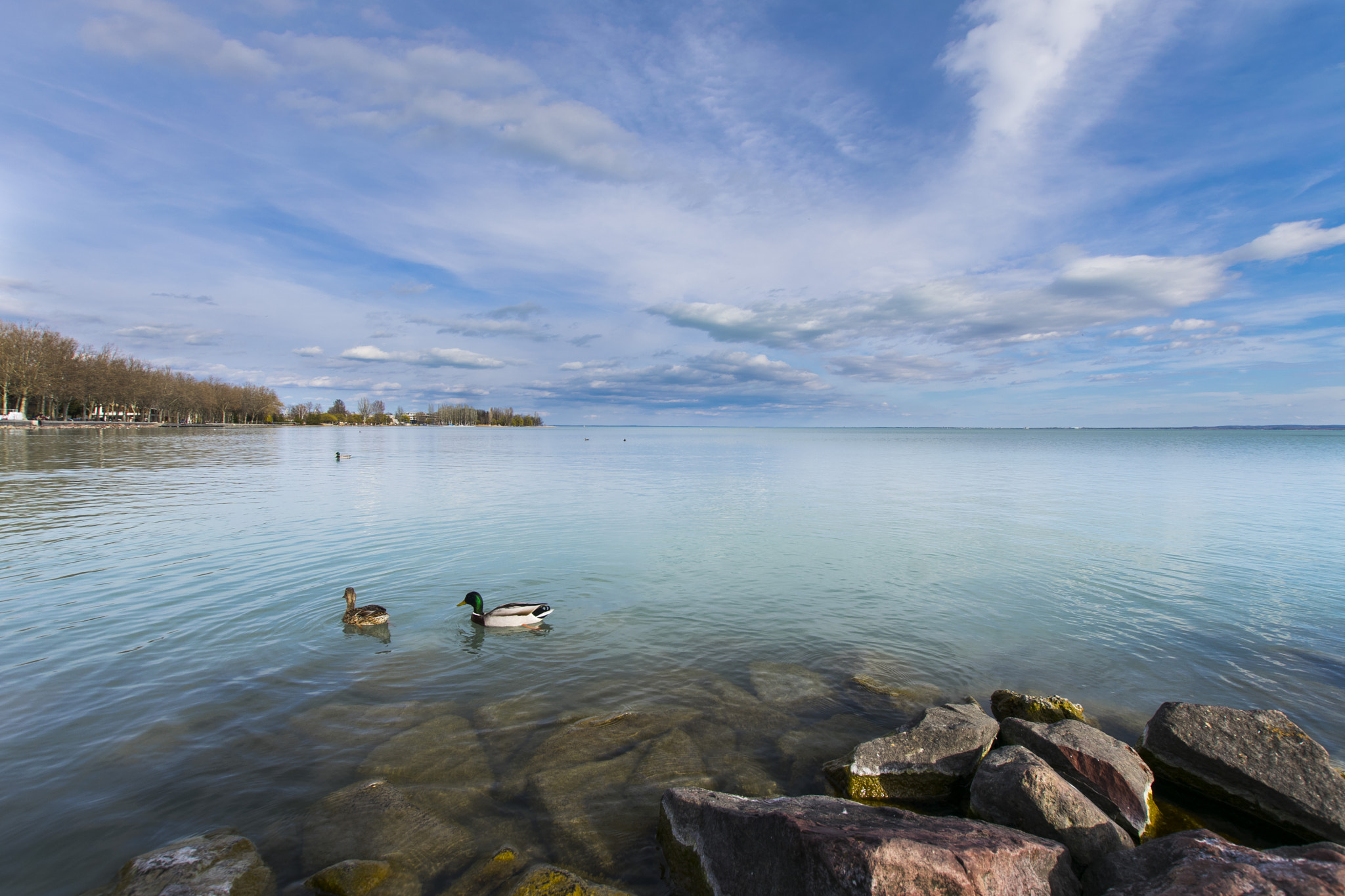 Nikon D3300 + Sigma 10-20mm F3.5 EX DC HSM sample photo. Early spring balaton photography