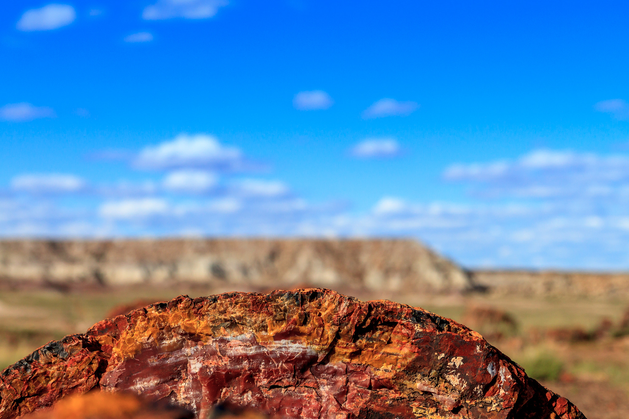 Canon EOS 500D (EOS Rebel T1i / EOS Kiss X3) sample photo. Petrified rock photography